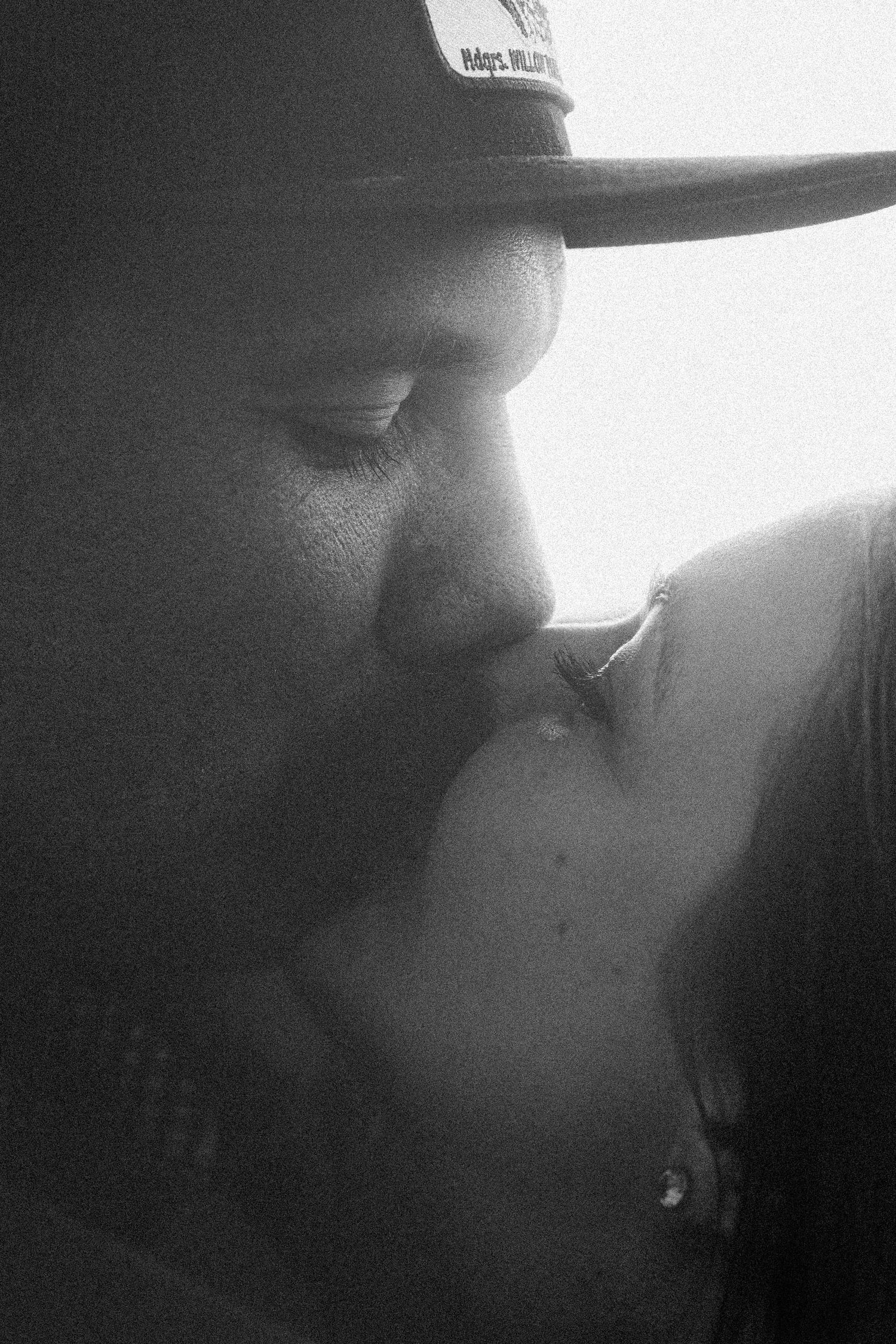 Black and white photo of a romantic couple sharing a tender kiss, man wearing a snapback cap.