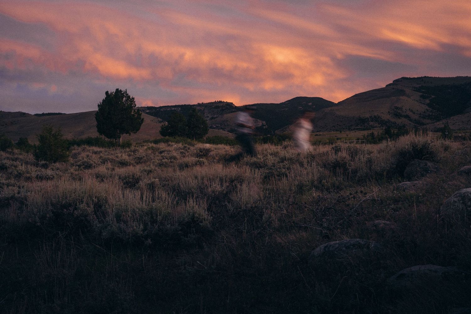 Desert landscape at dusk with dramatic pink and orange clouds over rolling hills and sparse shrubs.