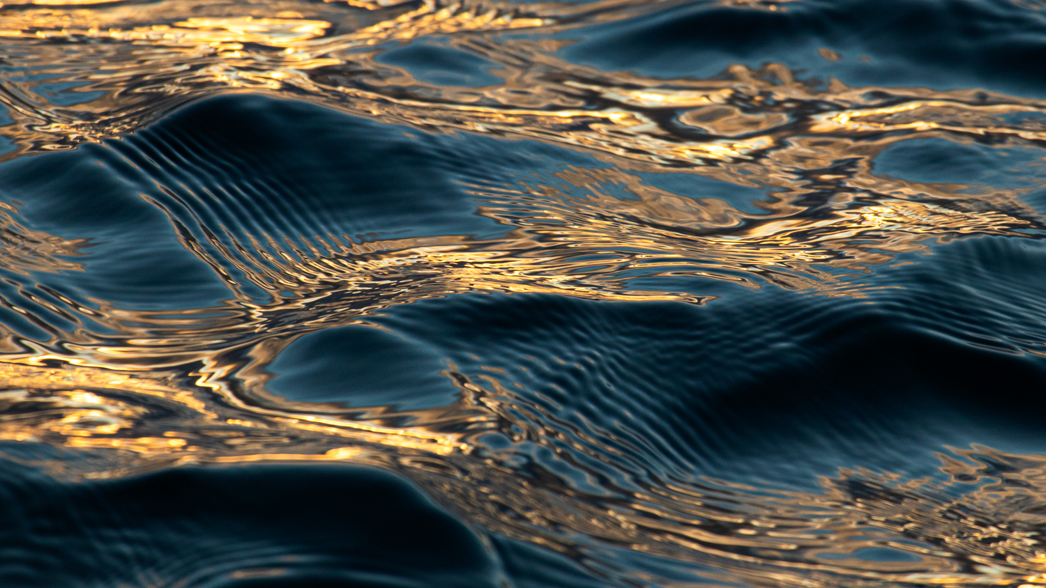 Golden sunlight reflects off dark ocean waves creating a stunning rippling water texture pattern at sunset.