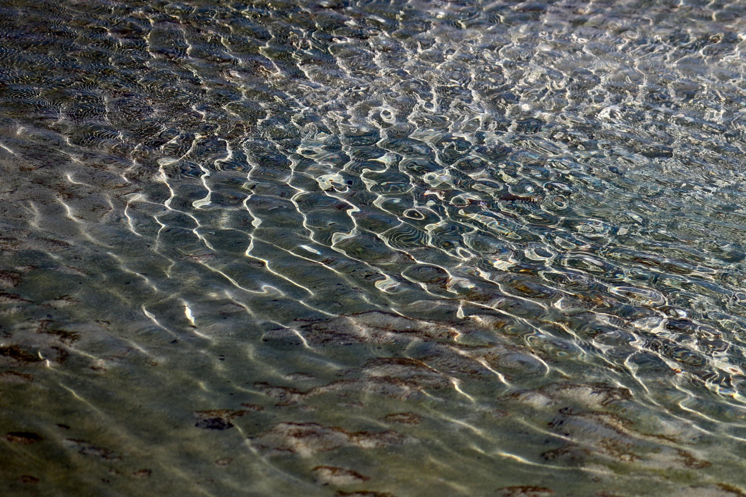 Sunlight rippling on clear shallow water with sandy bottom creating beautiful wave patterns.