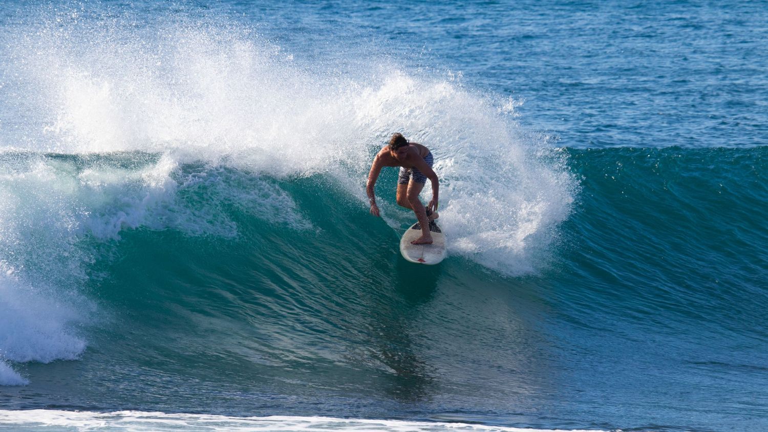 Surfer carving a wave on a bright turquoise ocean.