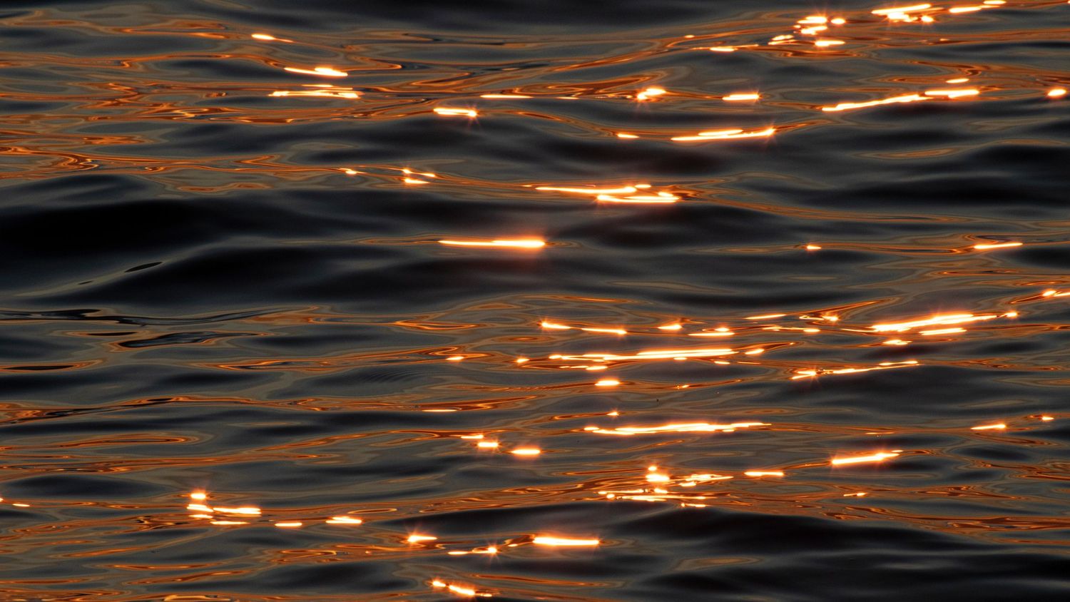 Dark ocean water surface with bright golden orange sunlight reflections dancing on gentle waves.