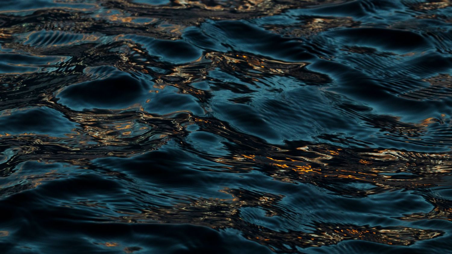 Deep dark blue ocean water with small ripples and subtle golden light reflections.
