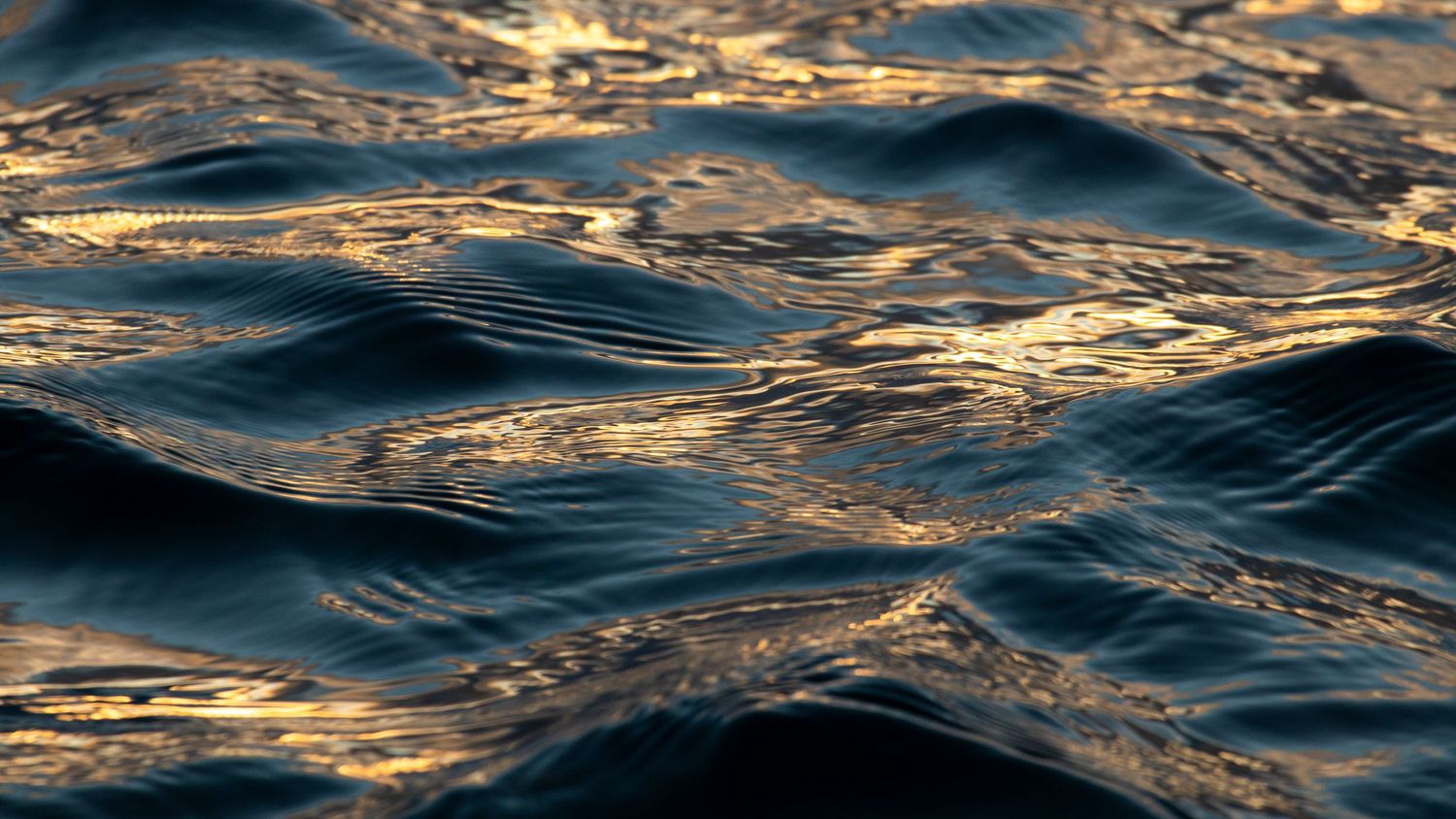 Golden sunset light reflecting off dark blue ocean waves creating a shimmering water surface.