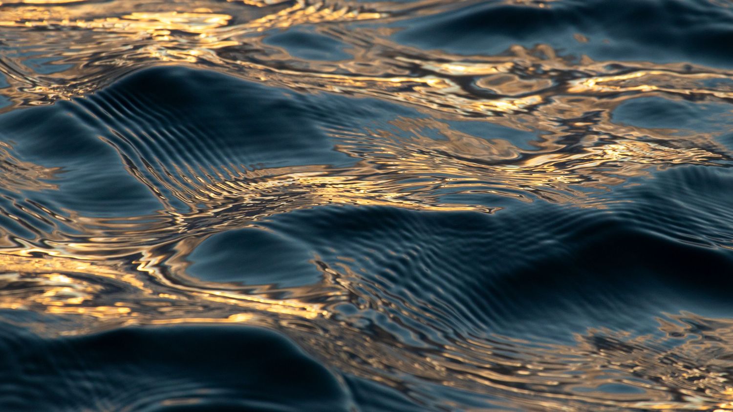Dark blue ocean water surface with golden ripples and gentle waves at sunset.