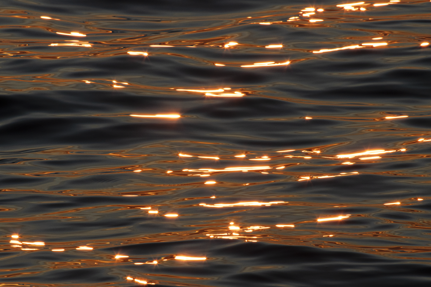 Golden sunset light reflecting on gently rippling dark ocean water.