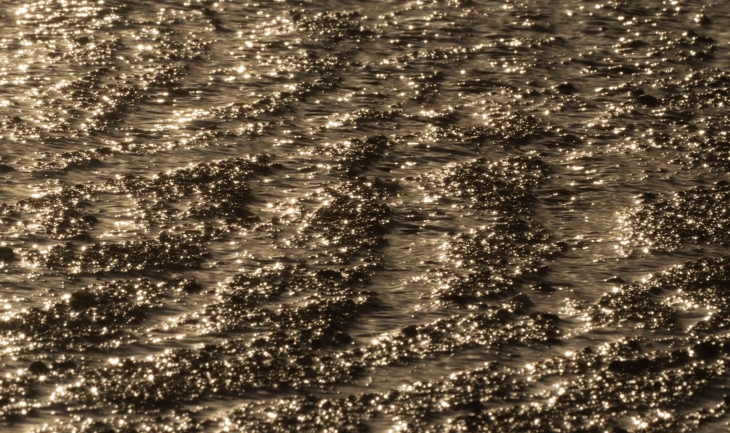 Golden sunlight reflects off rippling ocean water creating a shimmering, sparkling texture on the surface.
