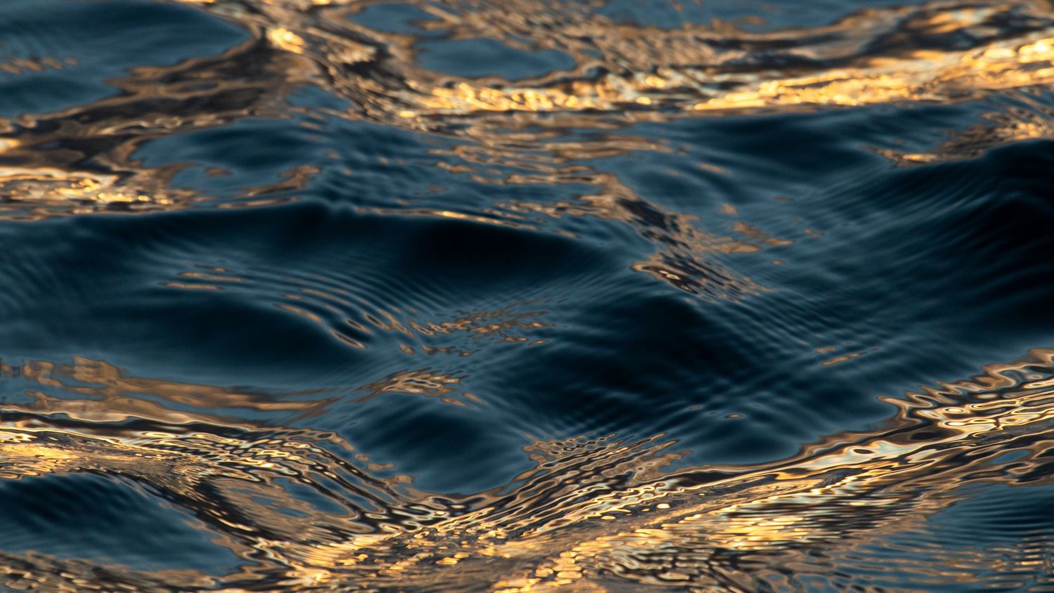 Deep blue ocean waves with golden light reflections creating a rich textured surface.