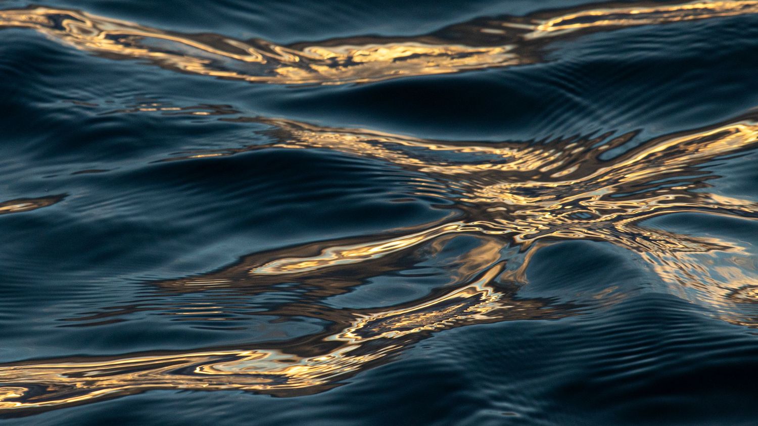 Golden sunlight reflecting on dark rippling water surface creating abstract wave patterns.