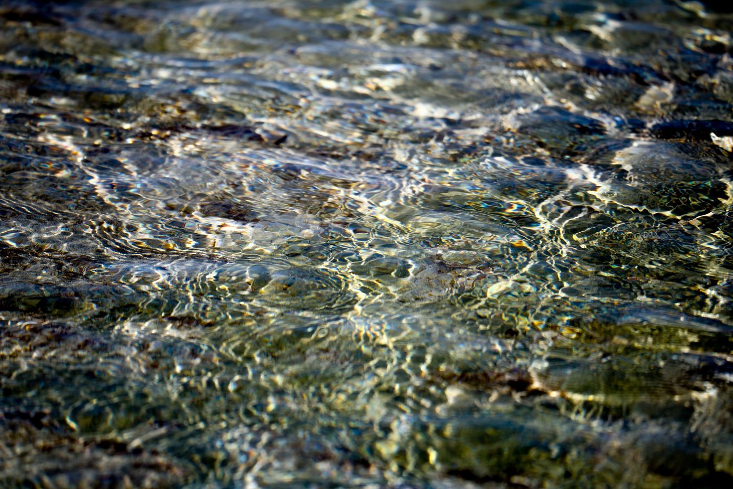 Clear shallow water rippling over rocks and green algae in natural sunlight.