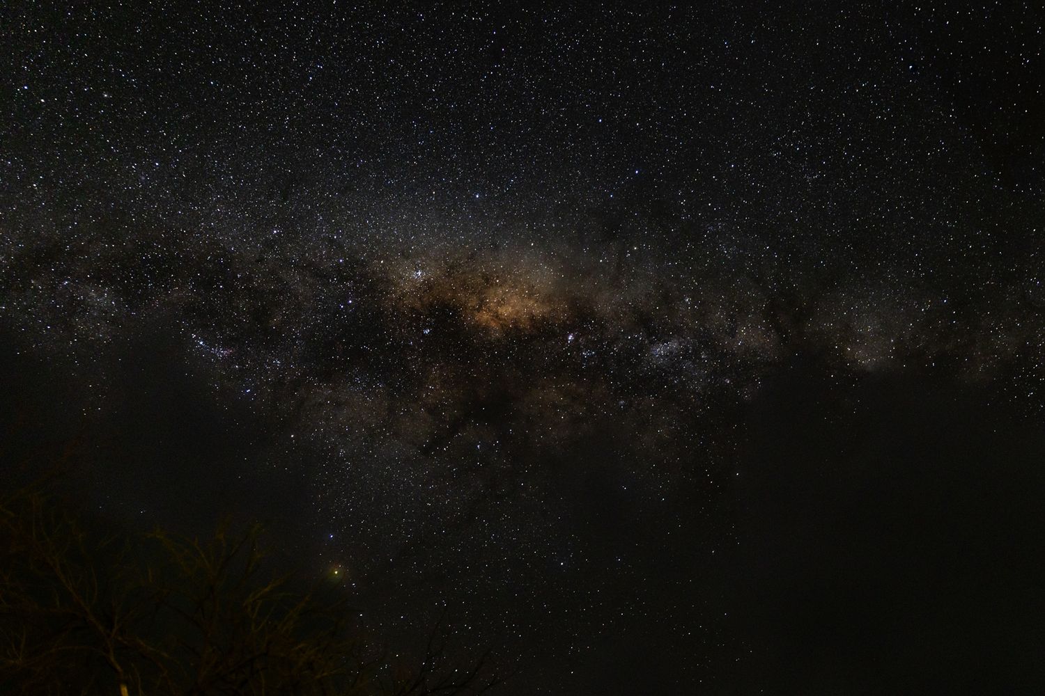 Stunning Milky Way galaxy with glowing core, thousands of stars, and silhouetted trees in a dark night sky.