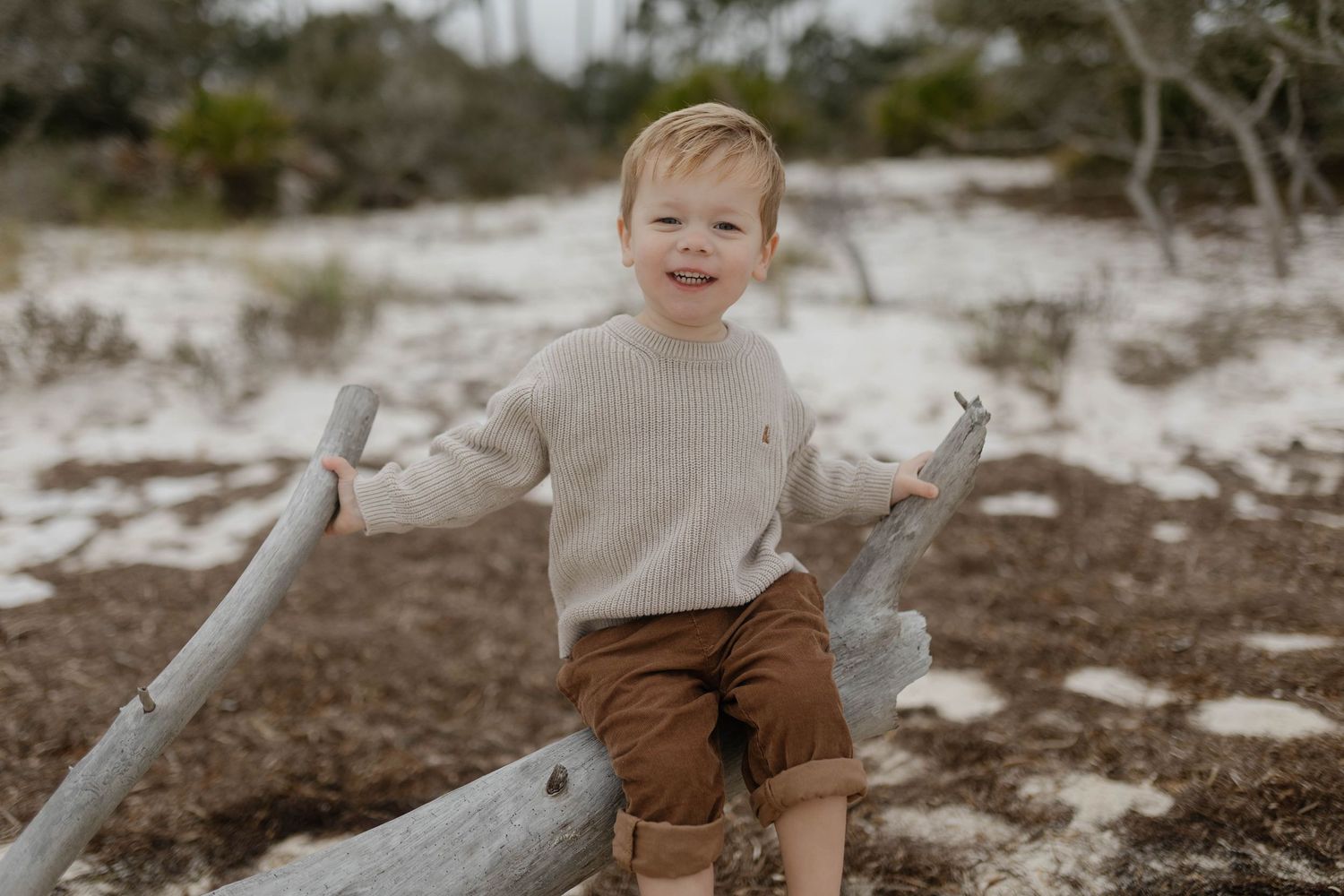 A child in a beige sweater and brown pants plays on a snowy beach with driftwood logs.