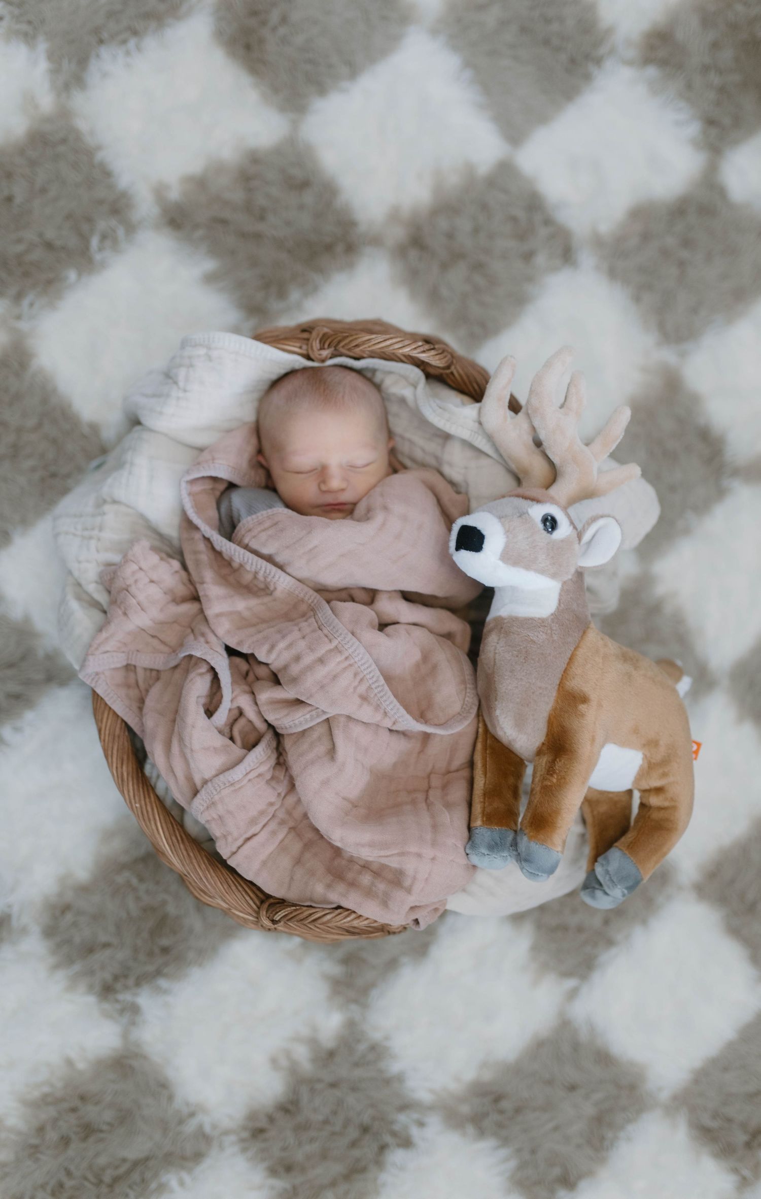 A sleeping newborn on a patterned blanket with a plush deer toy companion shown from different angles.