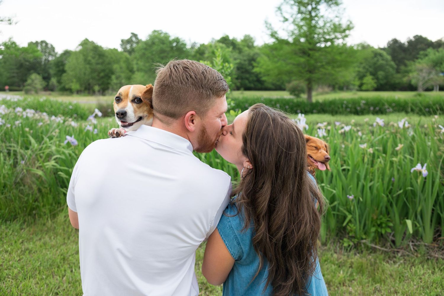 pet photographer near Monroe, Louisiana