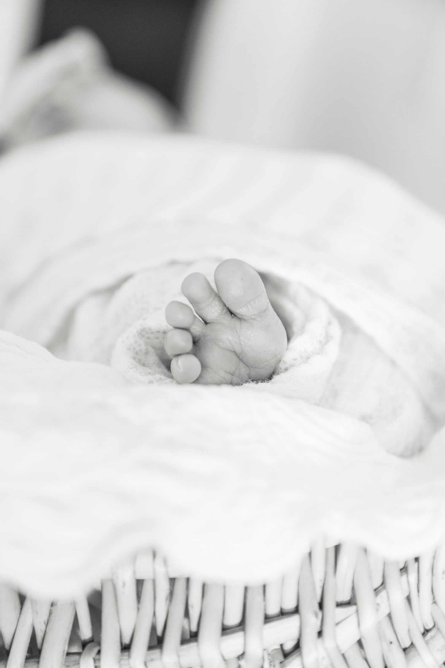 Newborn photographer in Monroe, Louisiana