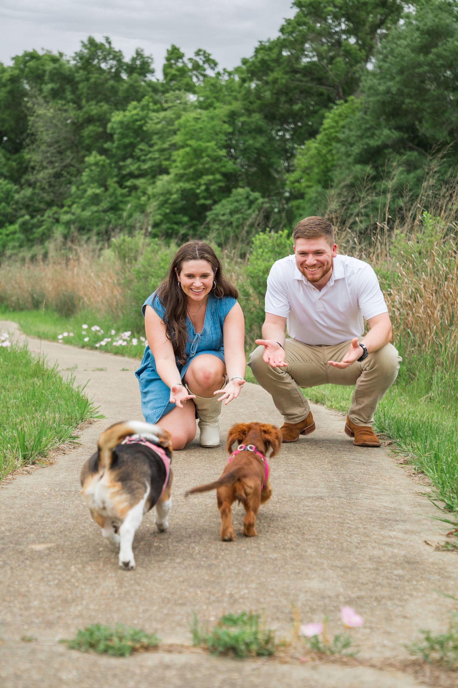 dog photographer near Monroe, Louisiana