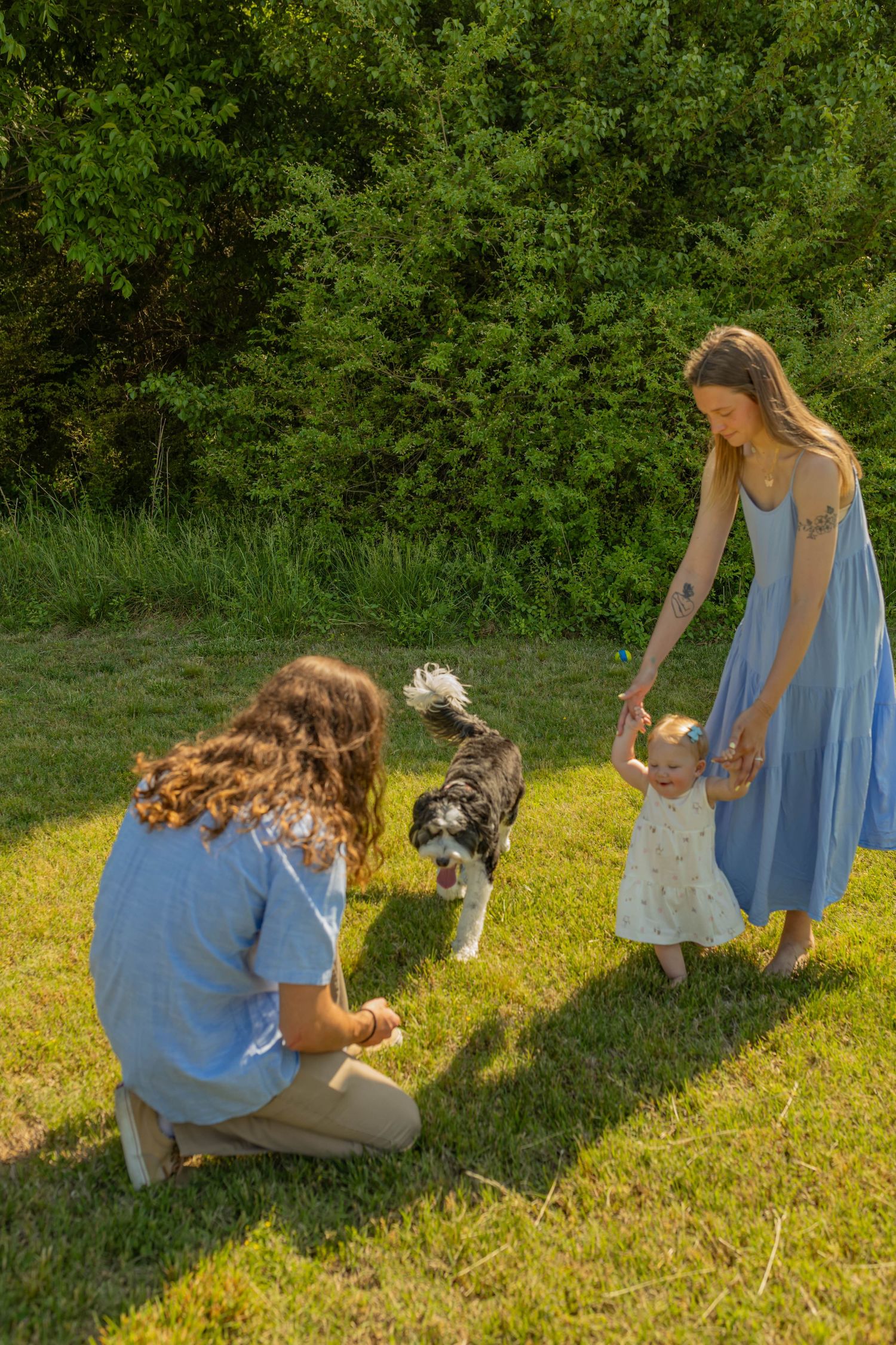 Family with baby and fluffy dog playing outdoors on green grass in warm sunlight.