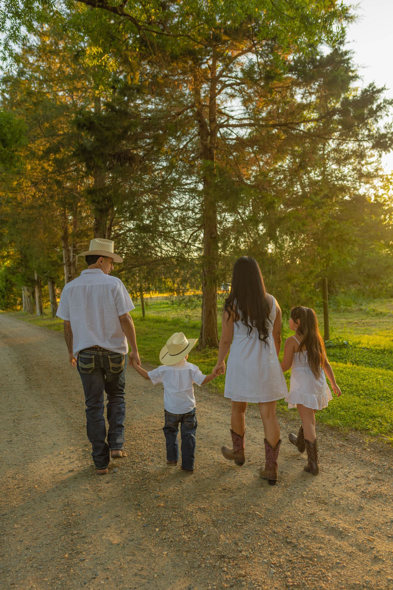 Family of four holding hands walking down a sunny rural dirt path lined with tall trees at golden hour.