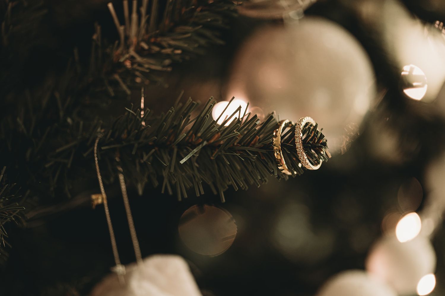 Trouwringen aan een dennentak met sfeerlichtjes, winterhuwelijk — huwelijksfotograaf West-Vlaanderen