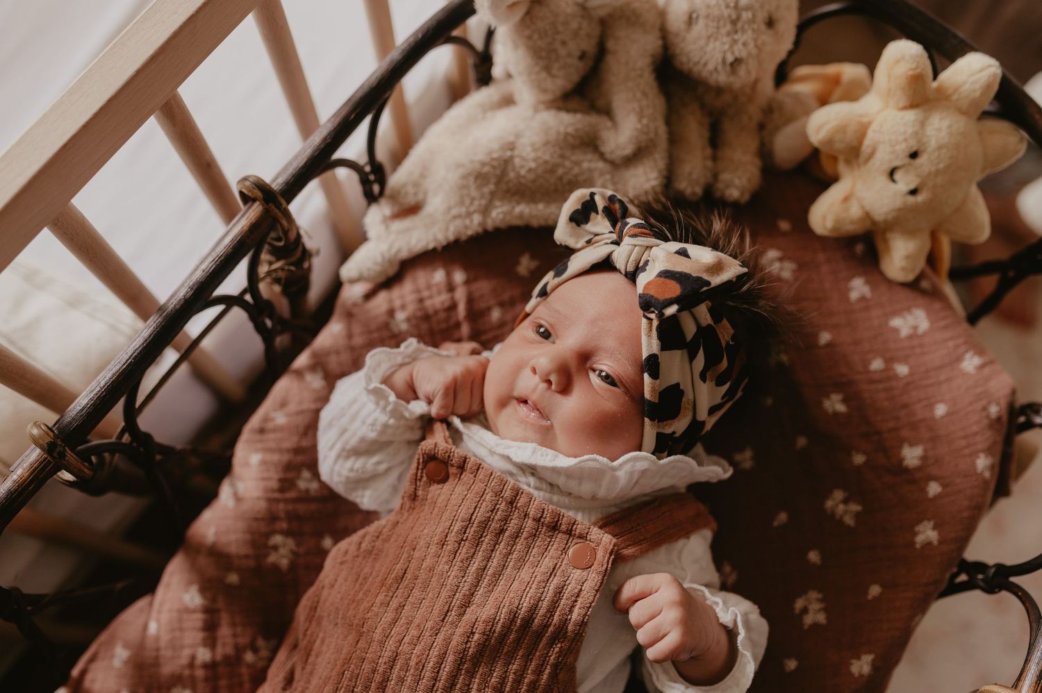 Baby Alma met luipaardprint haarband in haar wiegje omringd door knuffels, newborn fotografie Roeselare