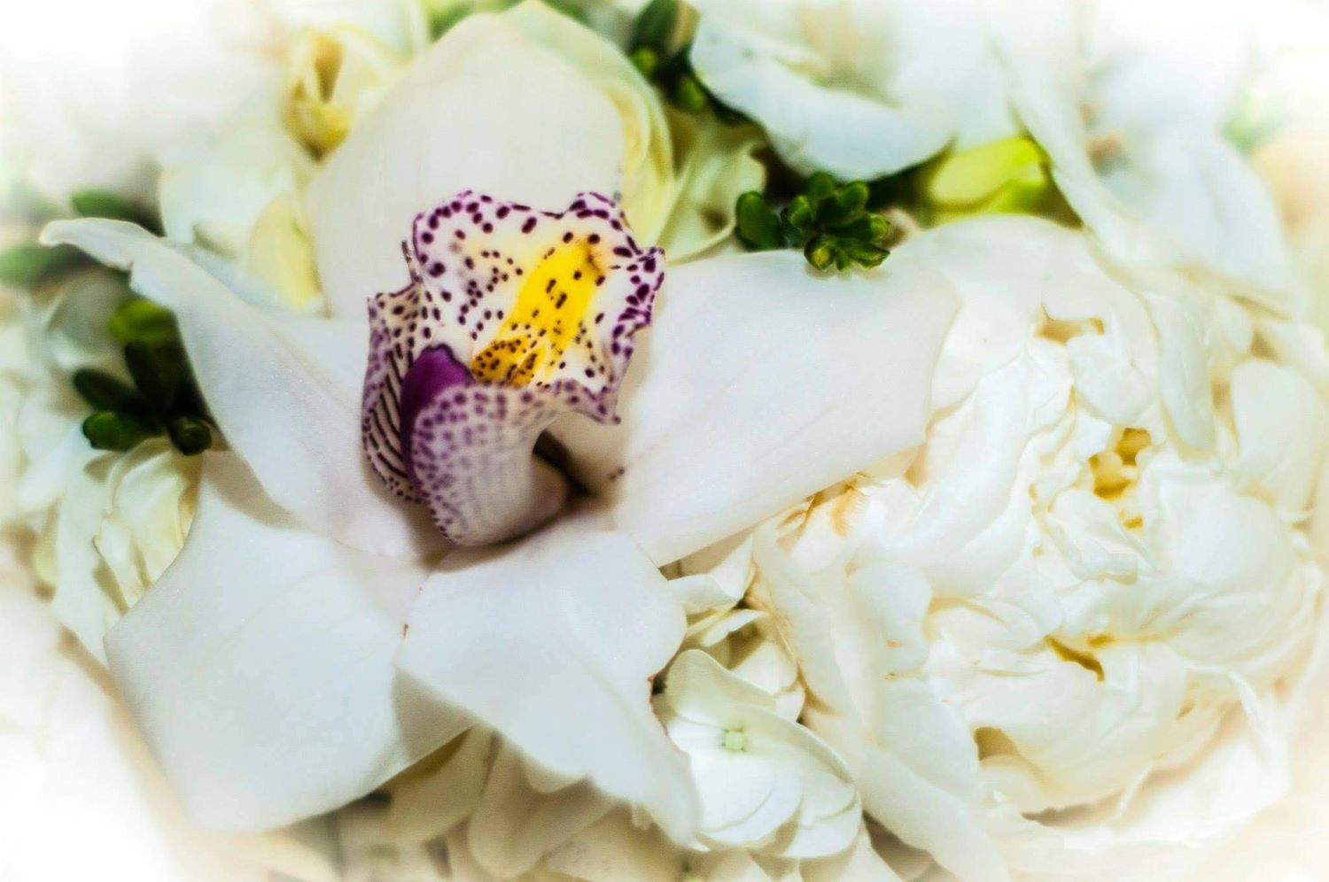 Close-up of a white orchid and peony flower arrangement with delicate petals.