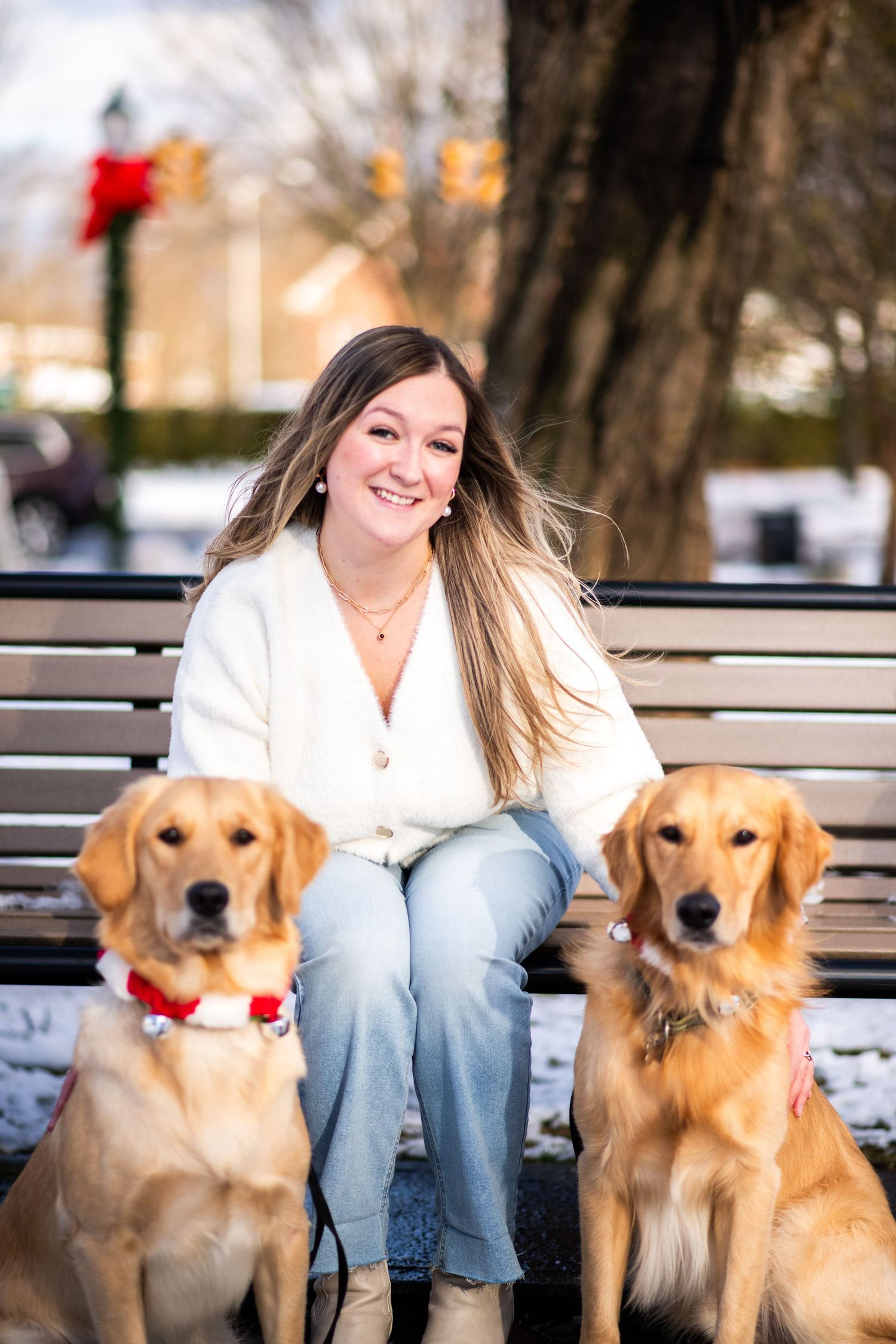 Person sitting on park bench with three golden retriever dogs wearing red collars.