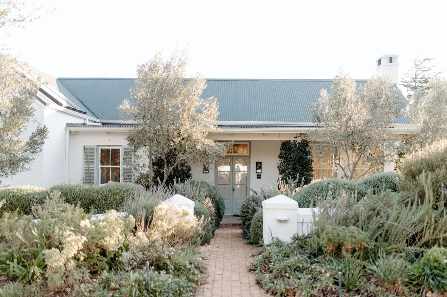 A serene coastal garden path lined with native plants and grasses leads to a white beach house.