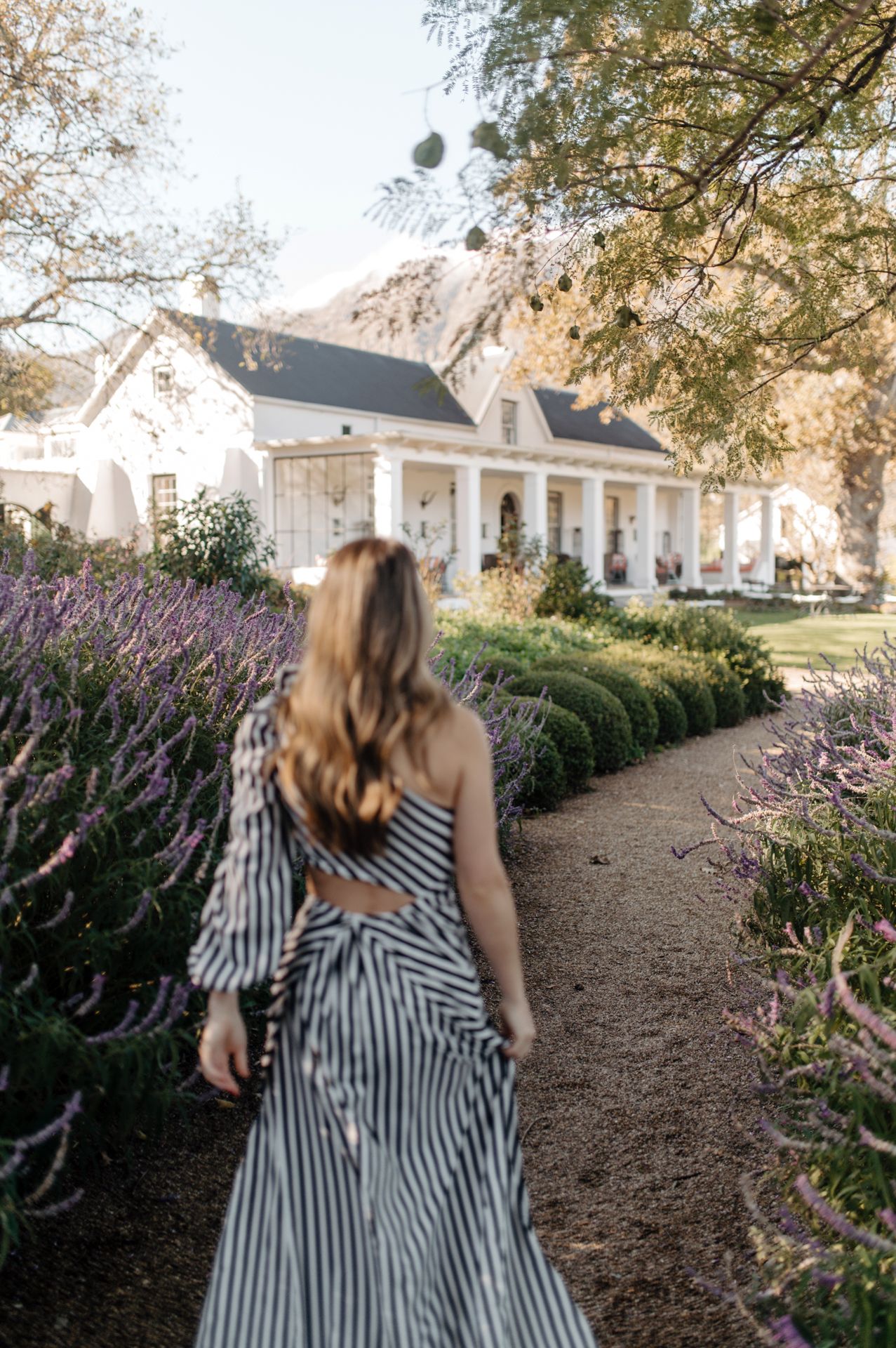 A figure in a striped dress walks along a garden path lined with blooming purple flowers and shrubs.