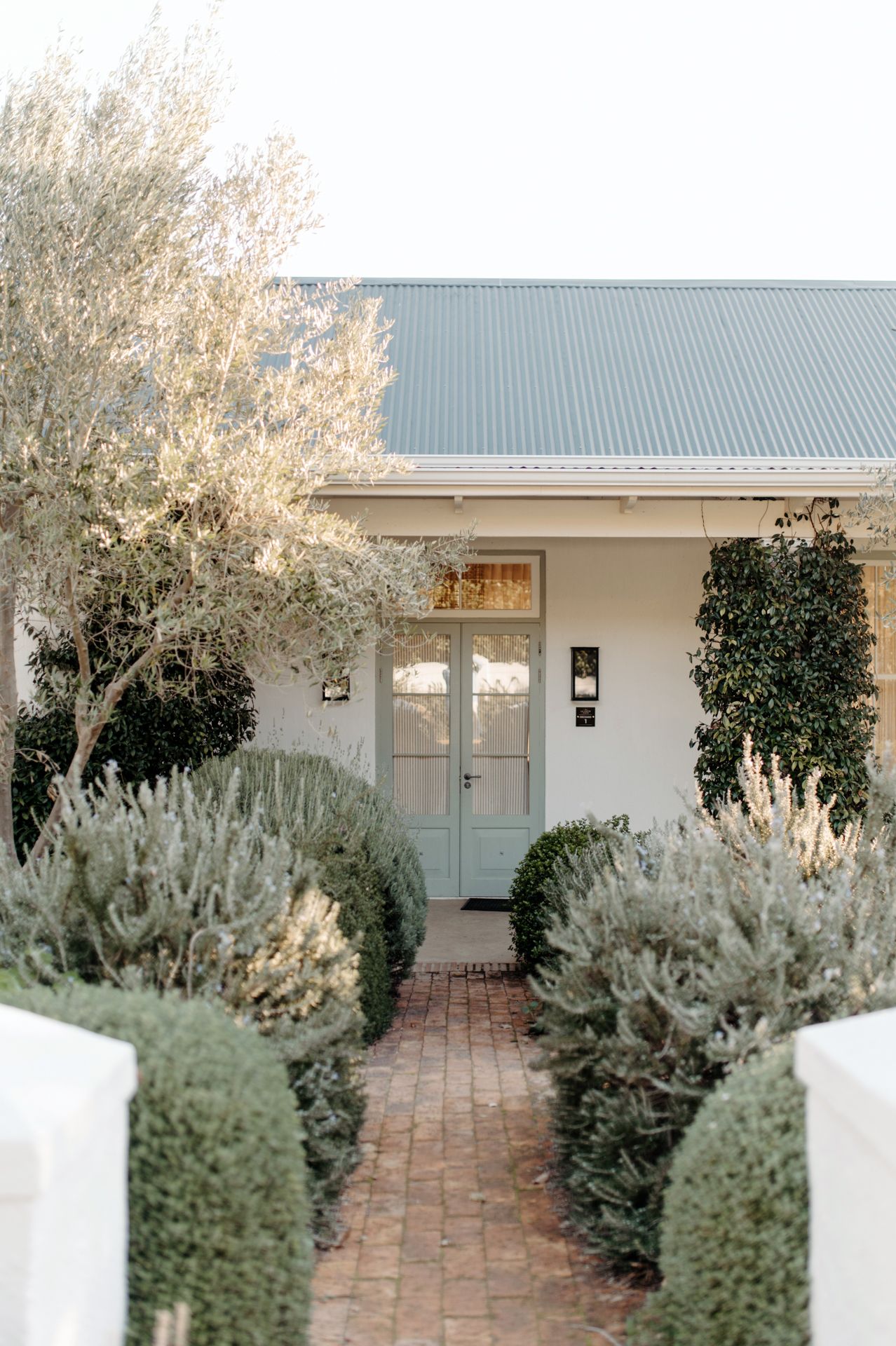 Brick pathway leads to a modern white building with sage green shrubs and bushes lining the entrance.