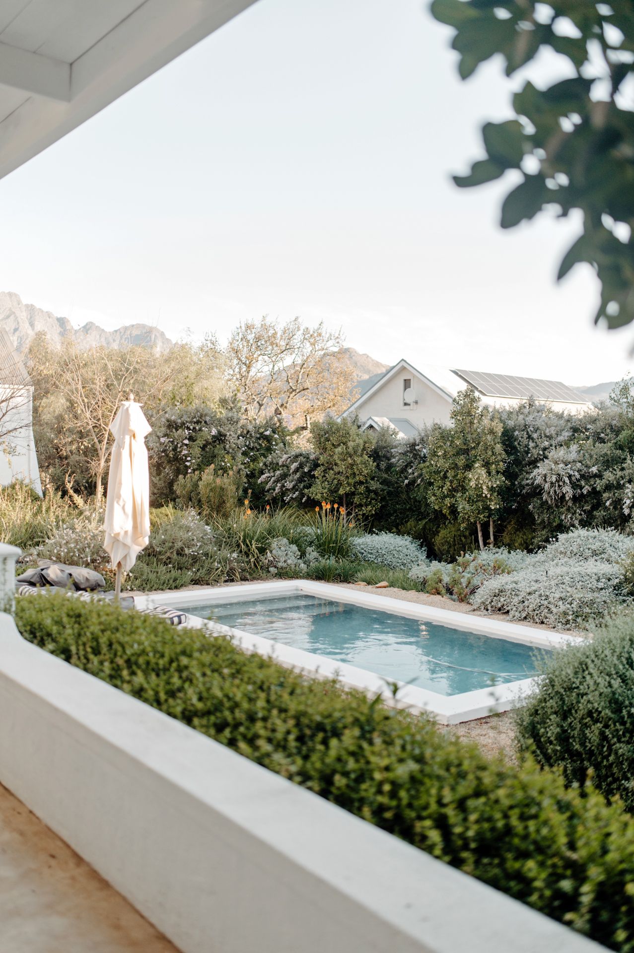 Tranquil swimming pool surrounded by lush landscaping with mountain views in the background.