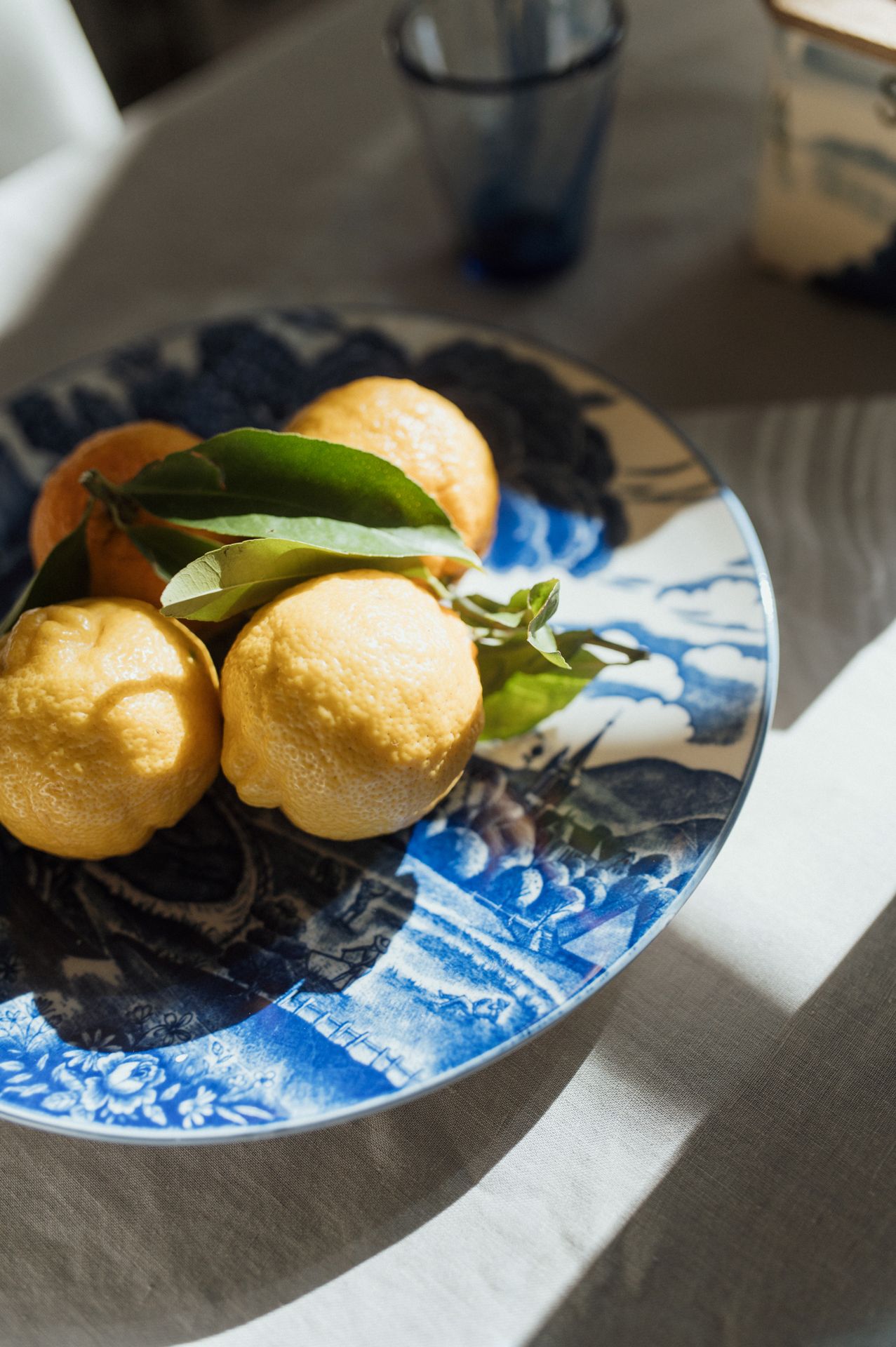 Fresh lemons with green leaves arranged on a blue and white patterned plate in natural sunlight.