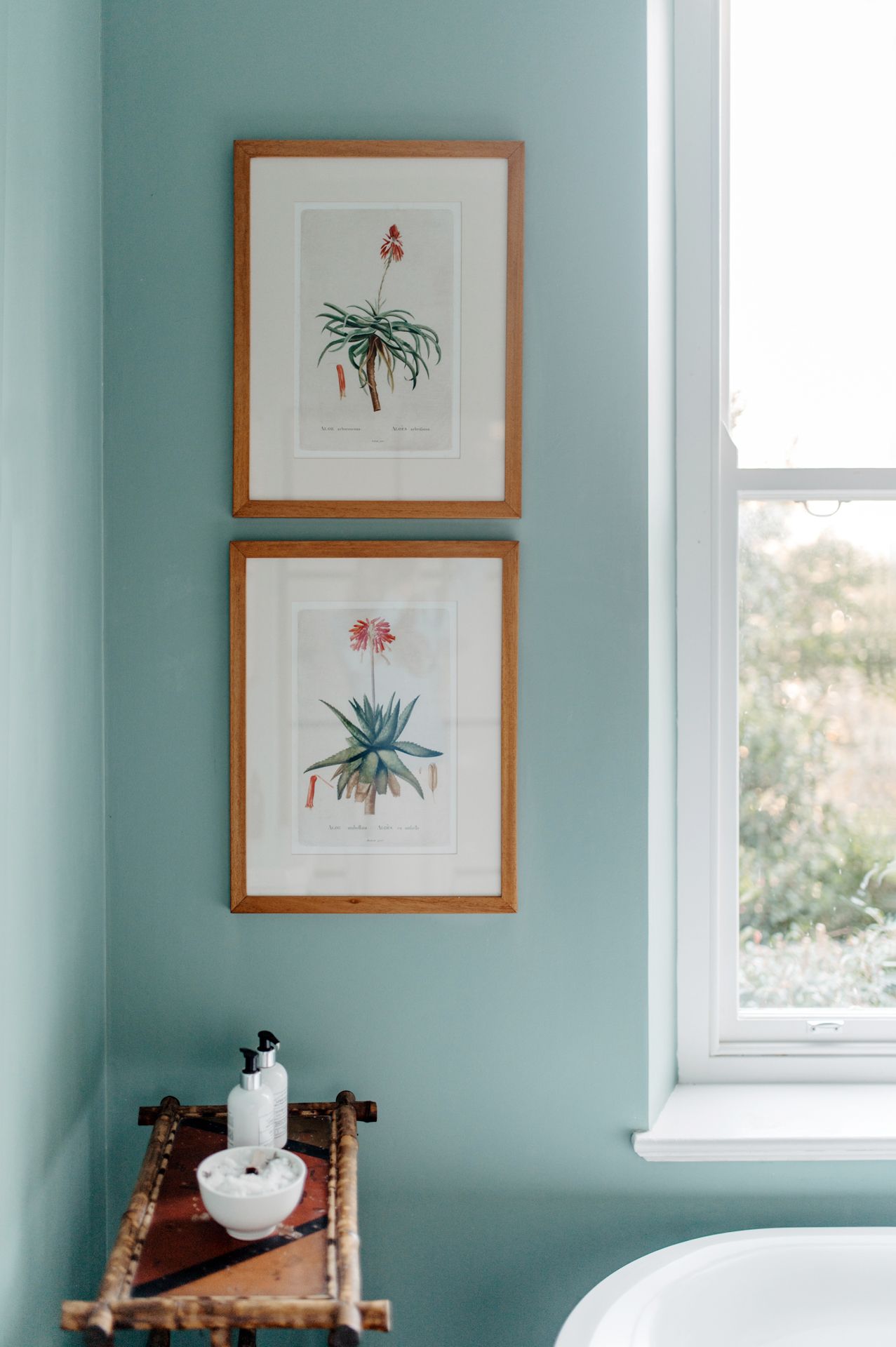 Light turquoise walls adorned with framed botanical prints and wooden accents create a serene coastal-inspired interior space.