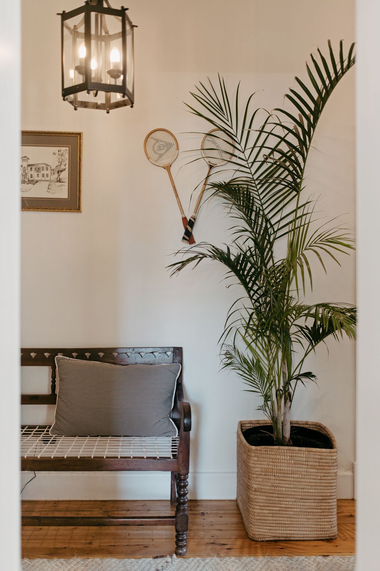 Cozy entryway corner with vintage bench, hanging lantern light fixture, and tall palm plant in woven basket planter.