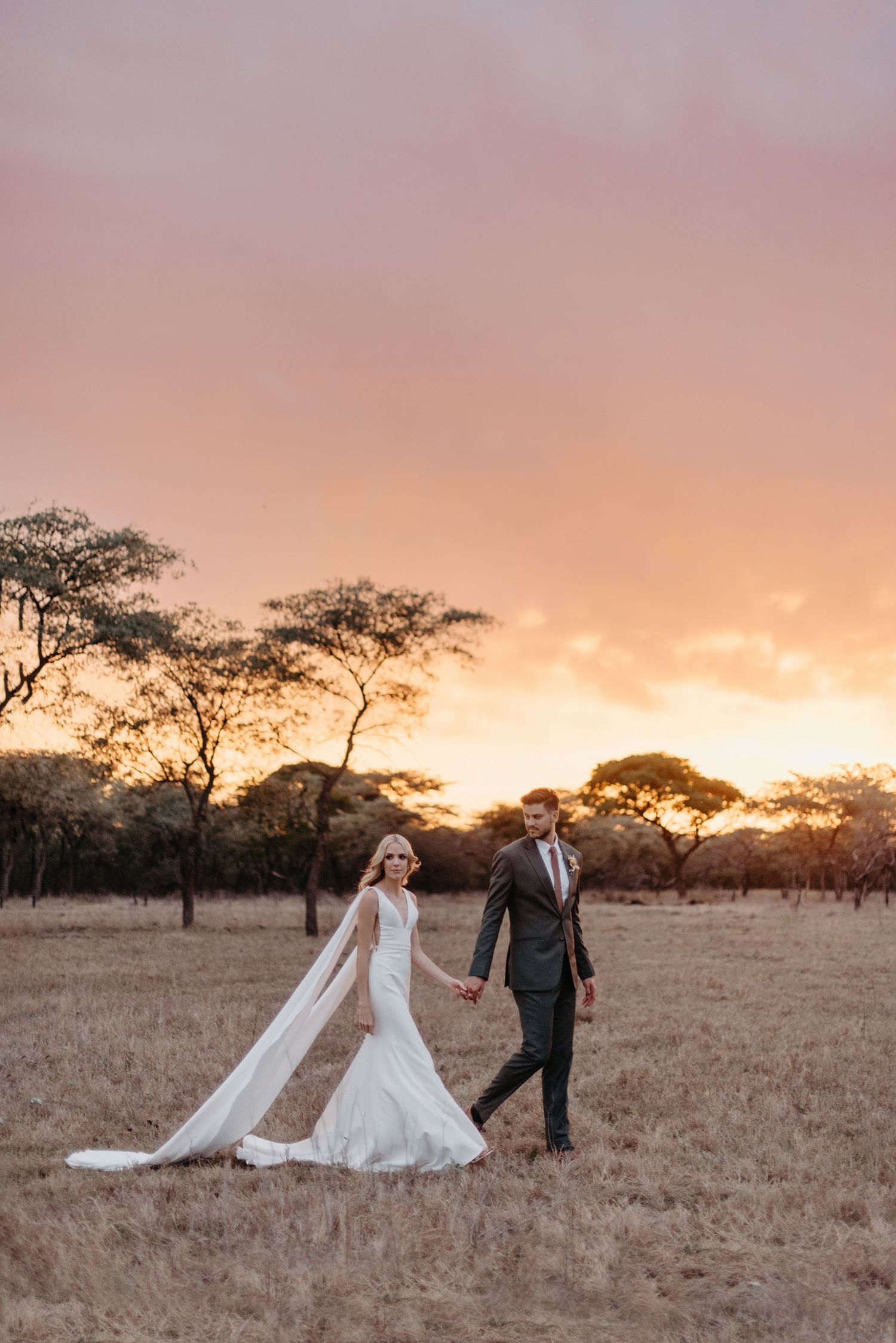 Wedding couple walking through savanna field during golden sunset.