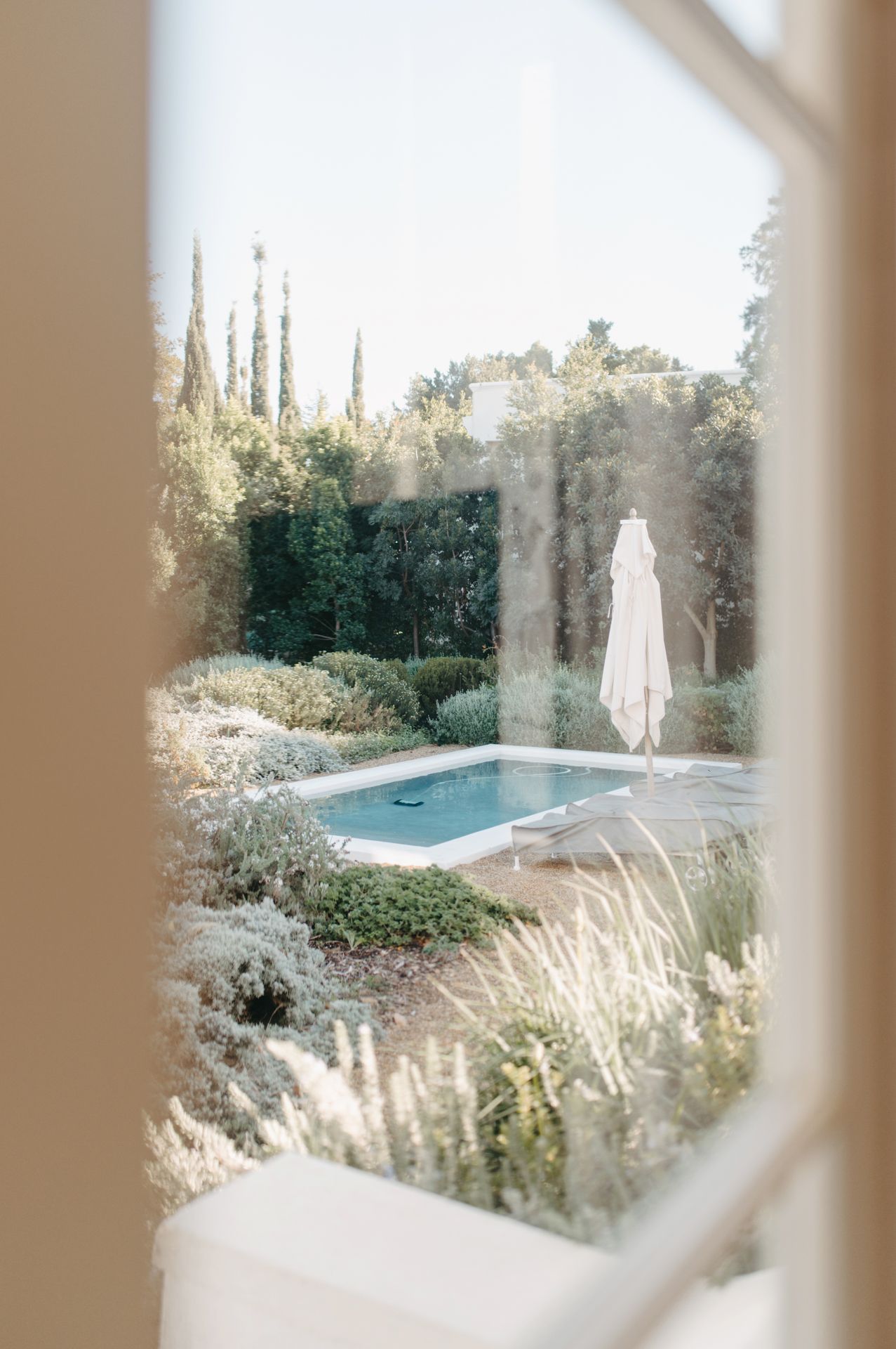 Serene backyard swimming pool surrounded by ornamental grasses and landscaping viewed through window panes.
