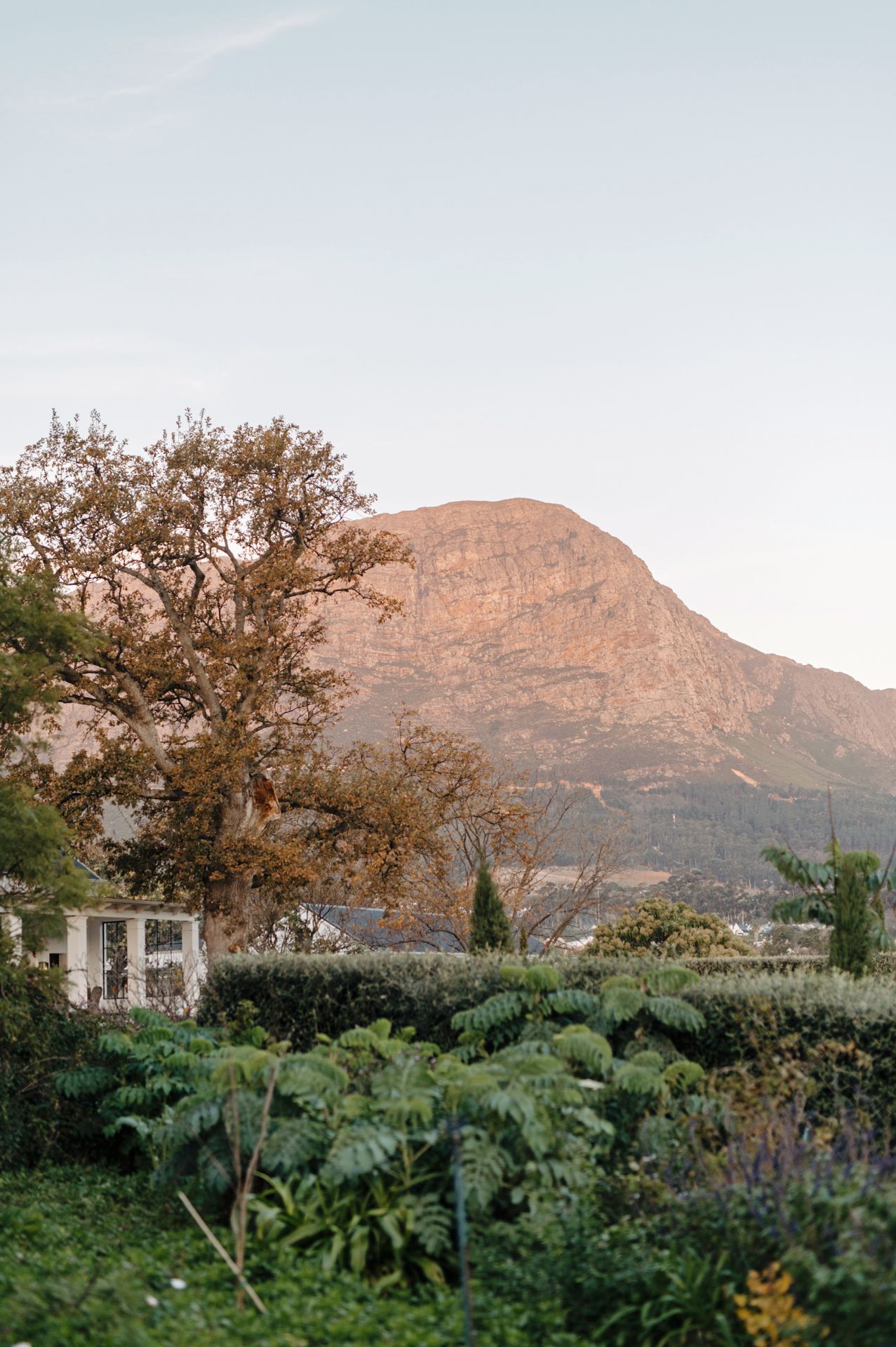 Scenic mountain landscape at sunset with lush green foliage and trees in the foreground.