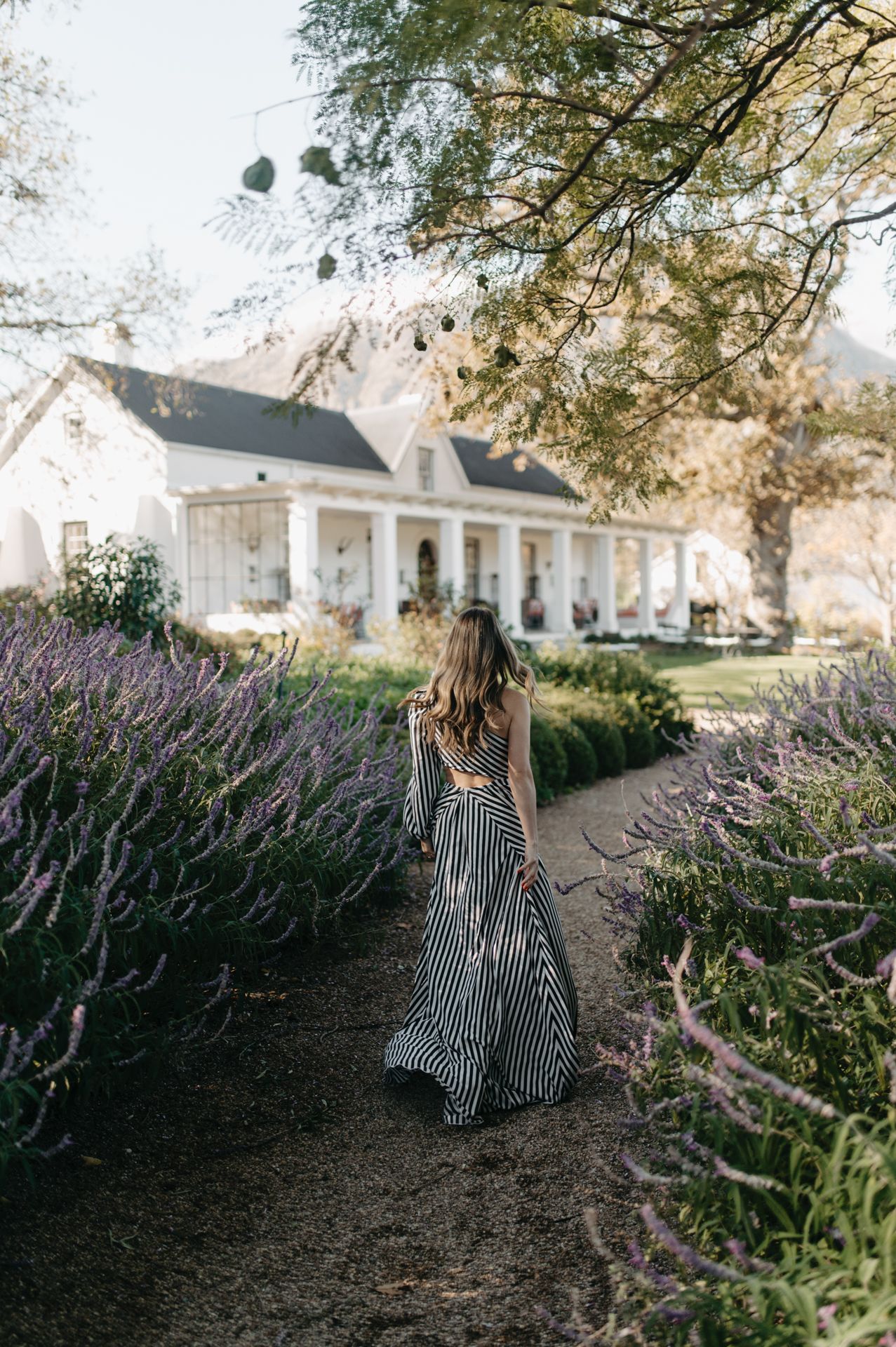 A striped dress flows elegantly among lavender bushes with a white farmhouse in the background on a sunny day.