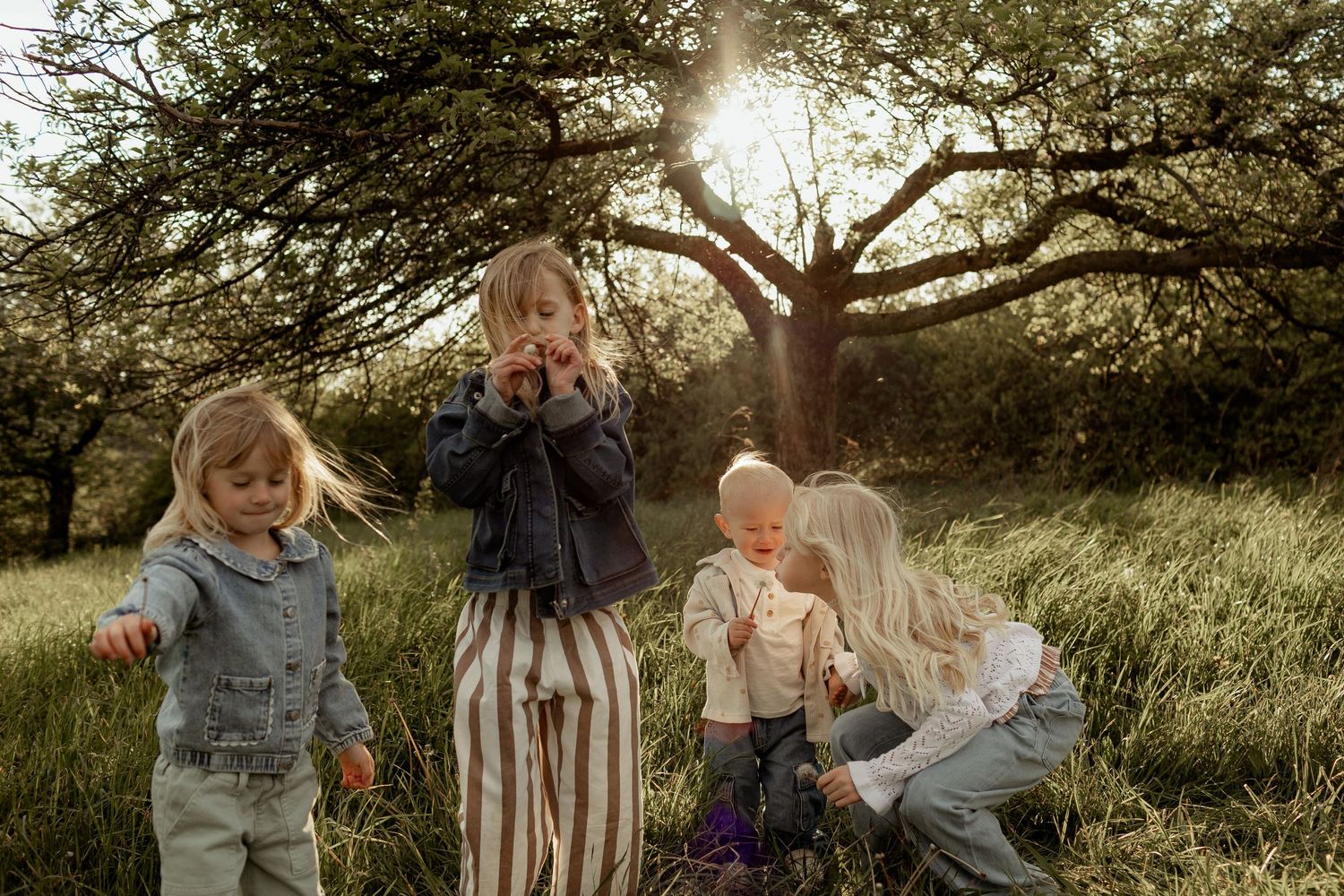 Four young children playing outdoors in a sunlit meadow beneath a large tree during golden hour.