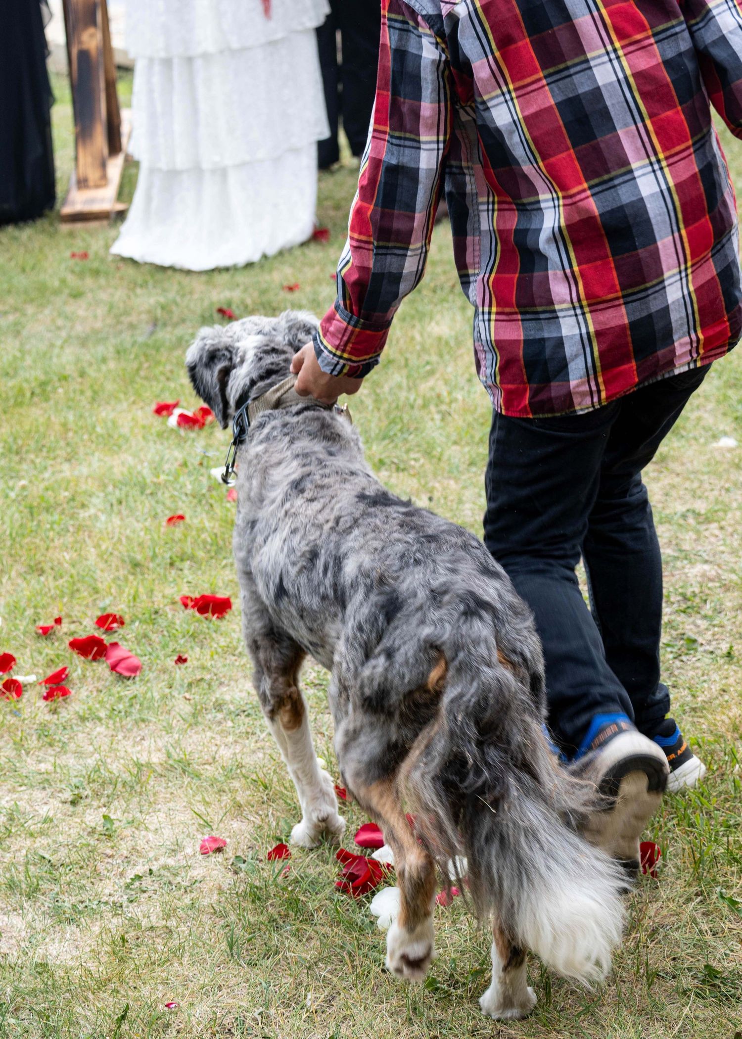 Edmonton Wedding Photographer - Ceremony