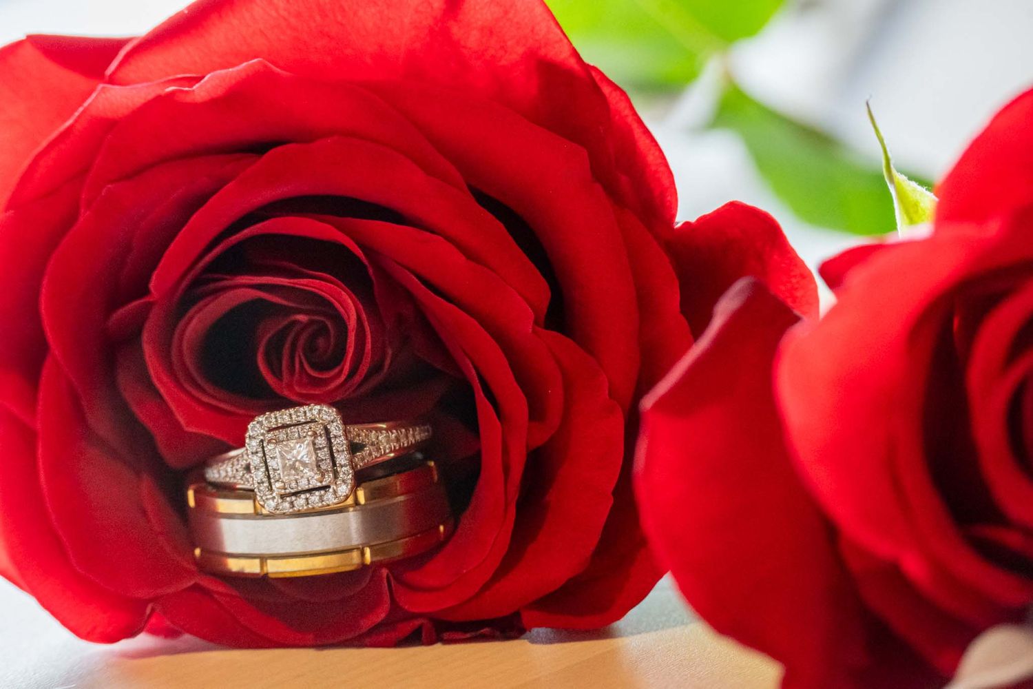 Edmonton Wedding Photographer - Detail