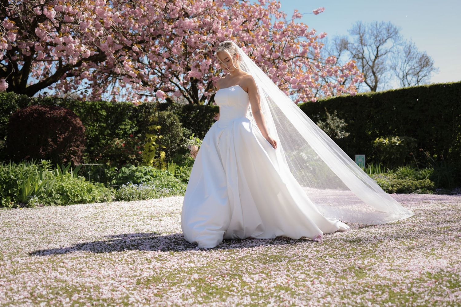 Bride in a flowing white strapless ball gown and veil beneath a blooming pink cherry blossom tree. Statham Lodge, Ruby Salmon Photography
