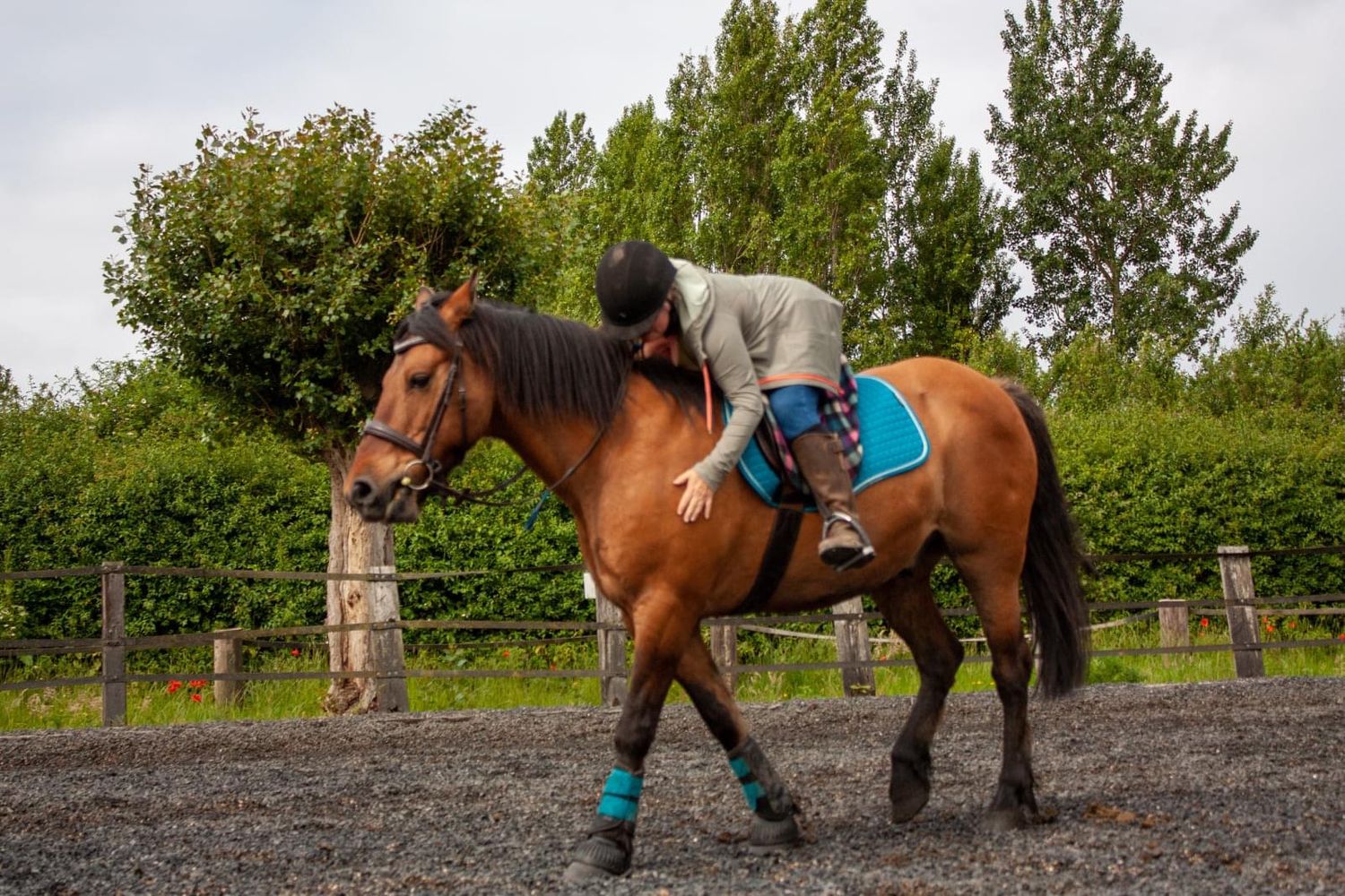 Cally and her highland pony Charley. Owner of Ruby Salmon Photography