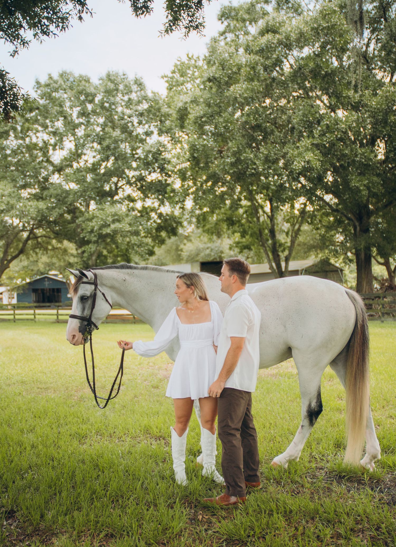 A couple stands with their beautiful white horse in a grassy field under oak trees.