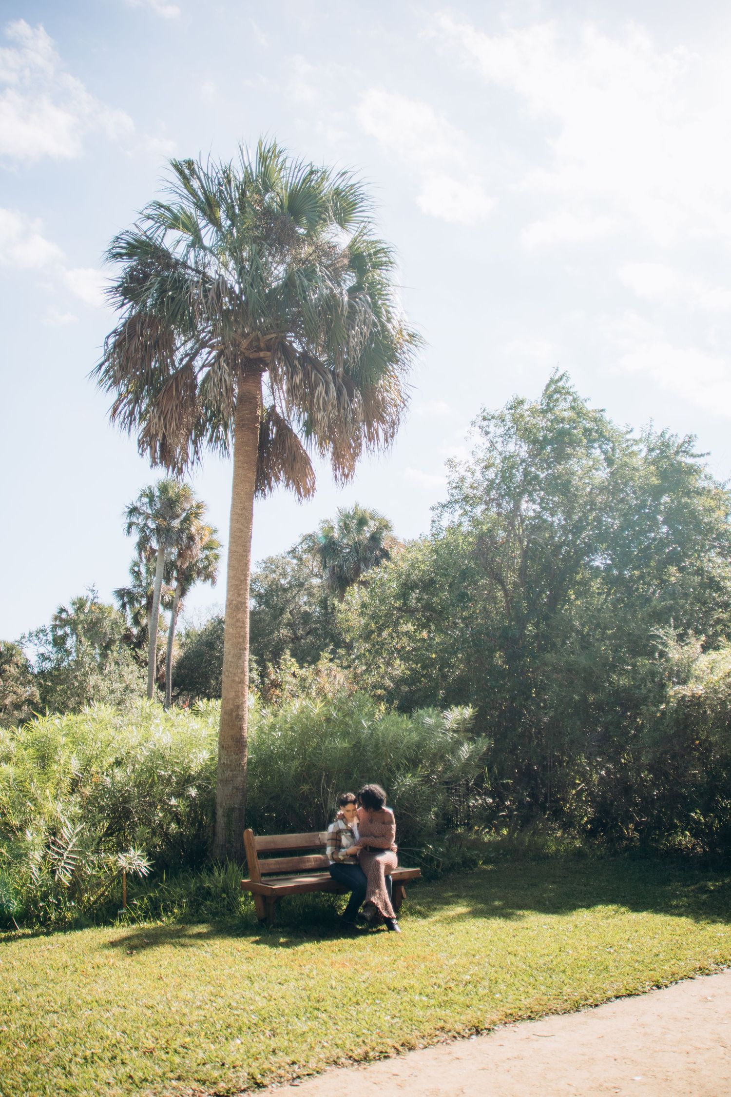 A couple shares a quiet moment on a park bench beneath a tall palm tree.