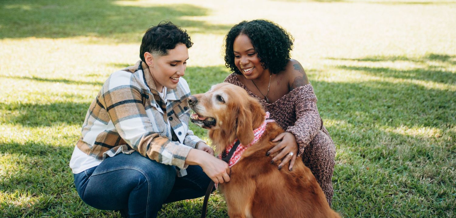 A couple and their golden retriever dog share joyful moments together outdoors on a sunny day.