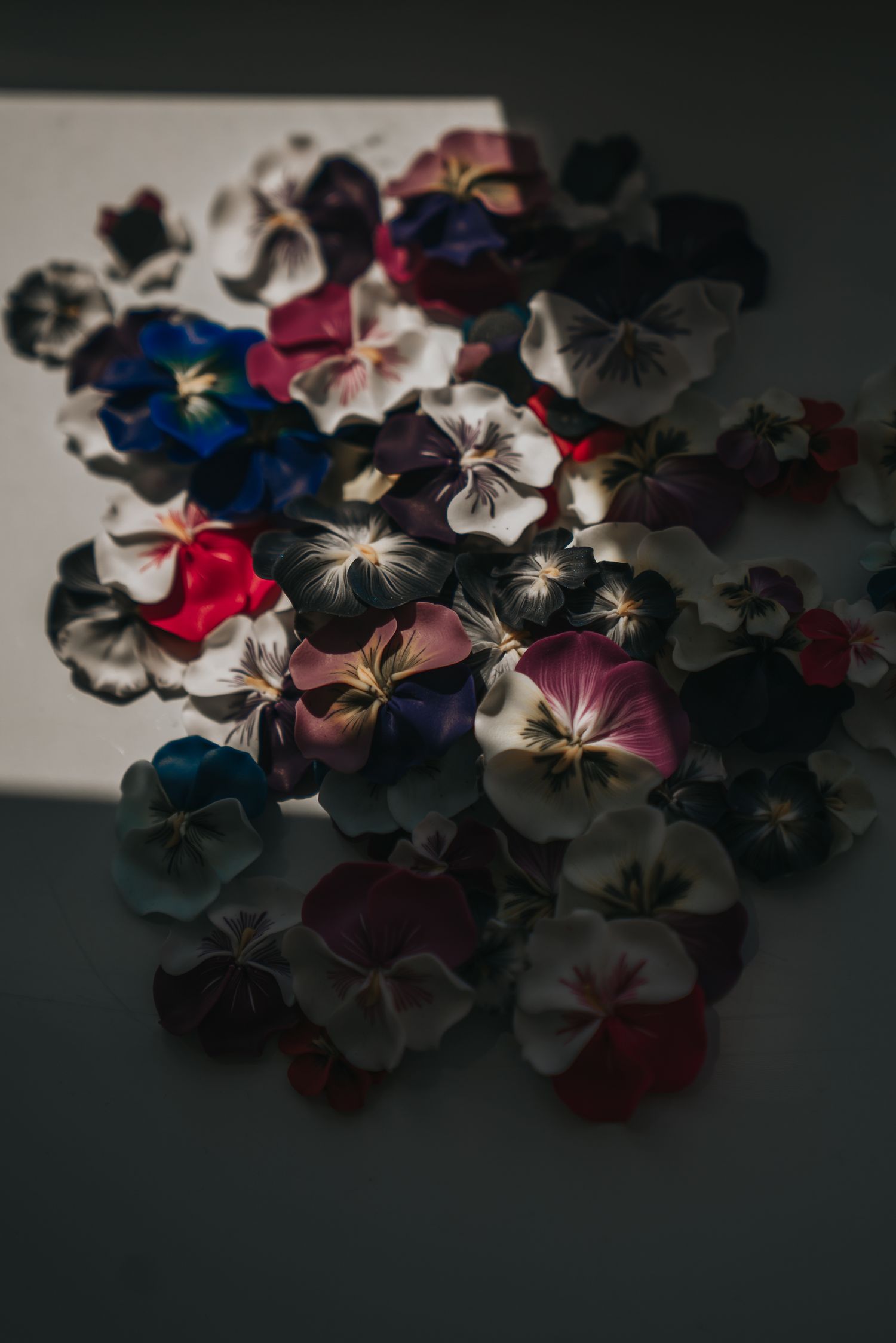 Colorful pansy flowers scattered on a dark surface with dramatic lighting, featuring white, purple, blue, and red blooms.