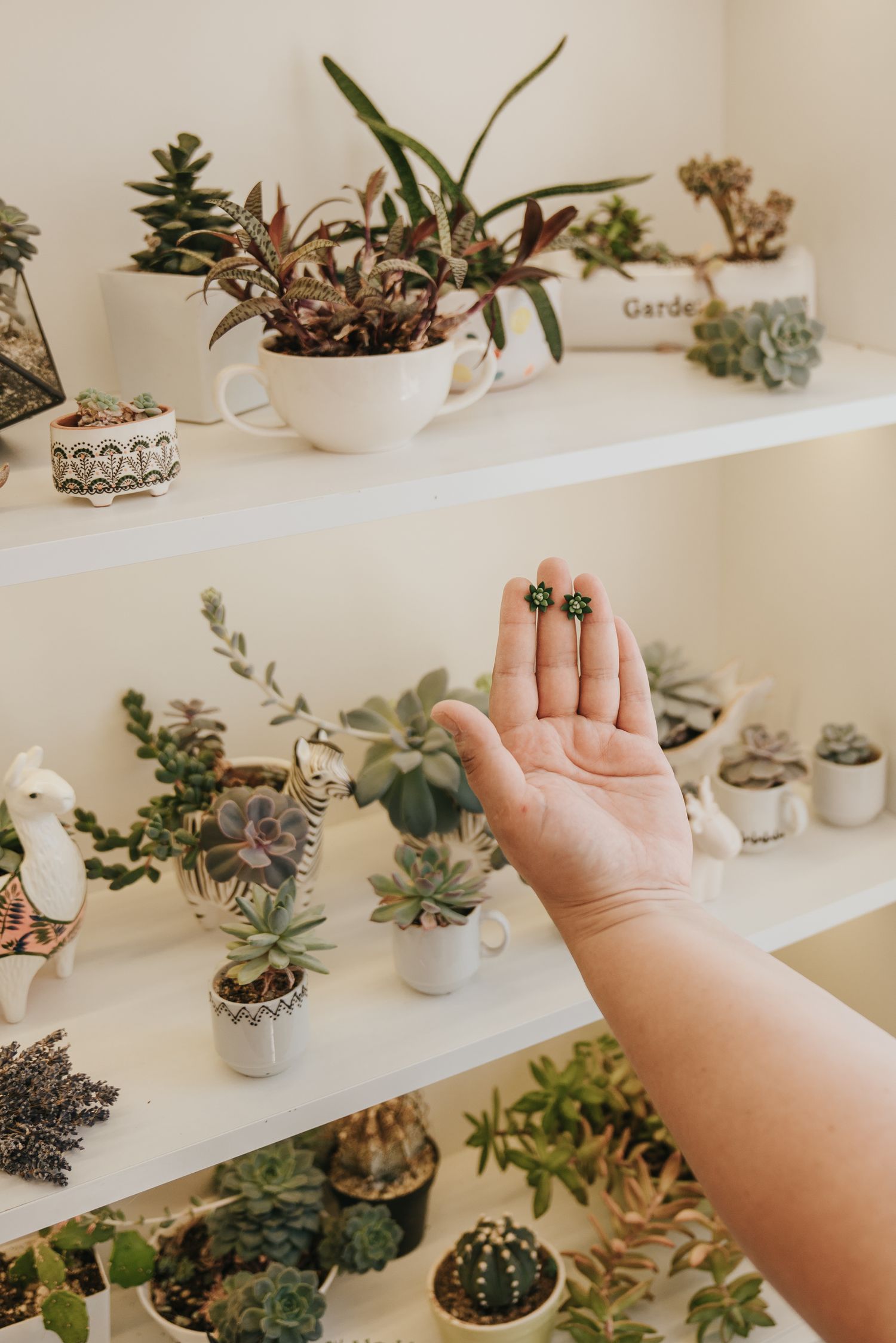 Hand holding green succulent earrings in front of white shelves filled with small potted succulents and plants.
