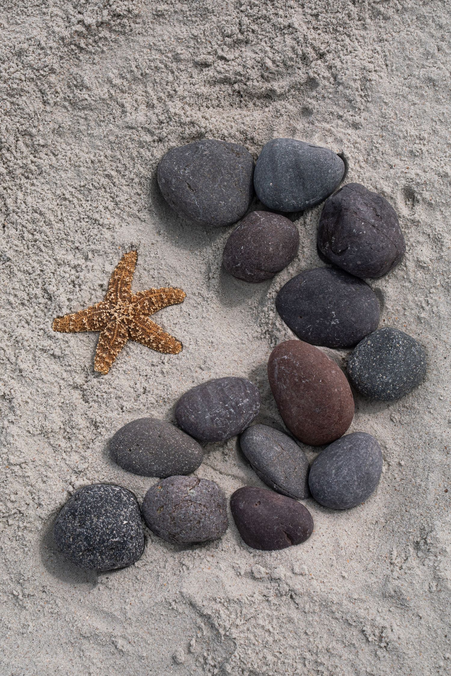 Dark gray pebbles arranged in a curved line with an orange starfish on light sandy beach.