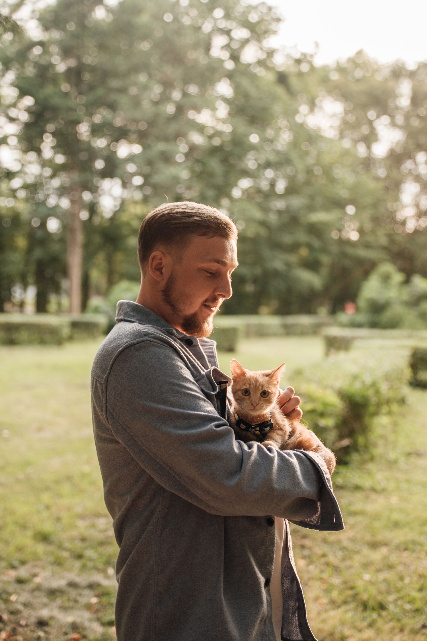 Bearded man in gray jacket cradles small orange kitten in sunny green park.