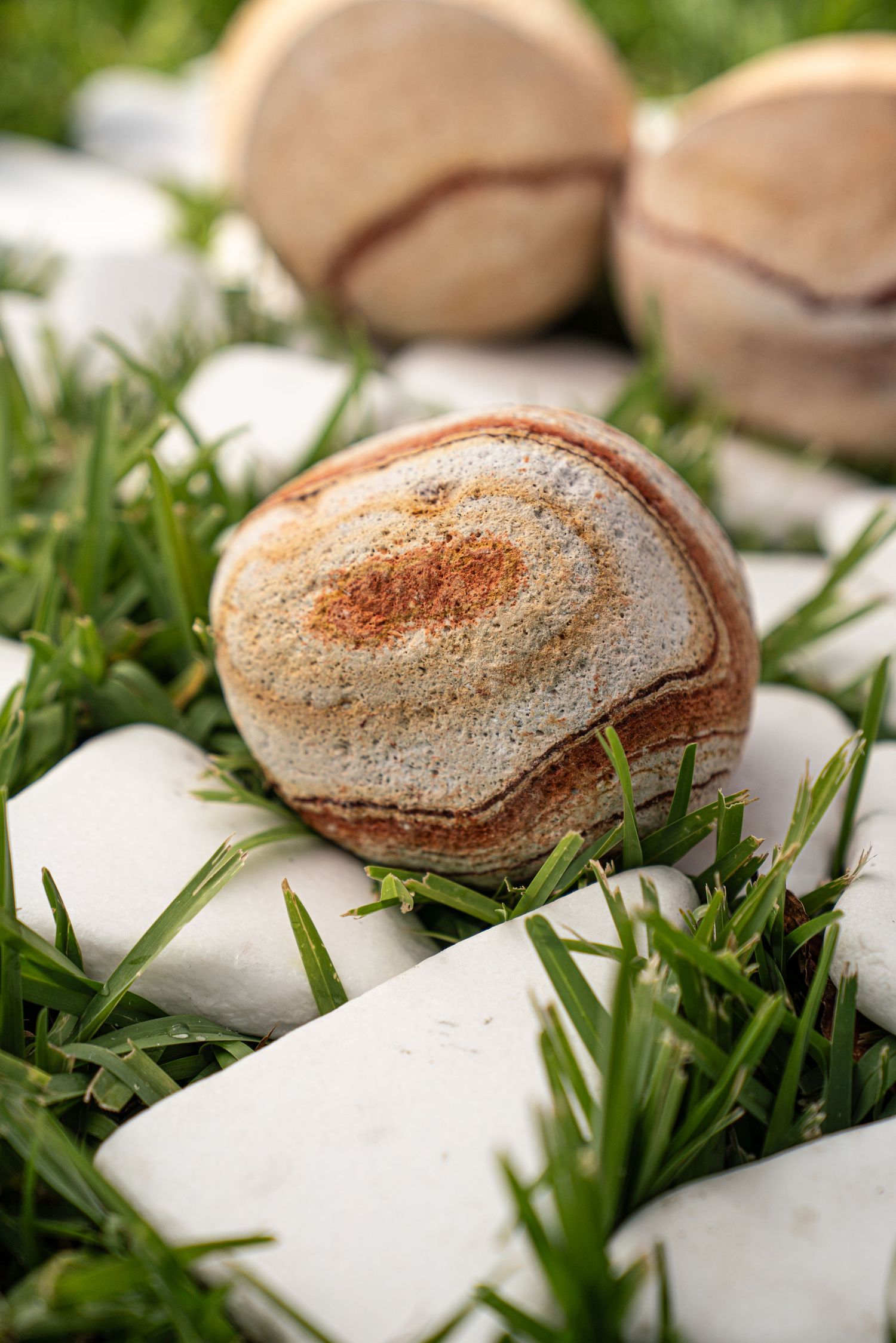 Colorful banded sedimentary rock resting on white stones surrounded by green grass.